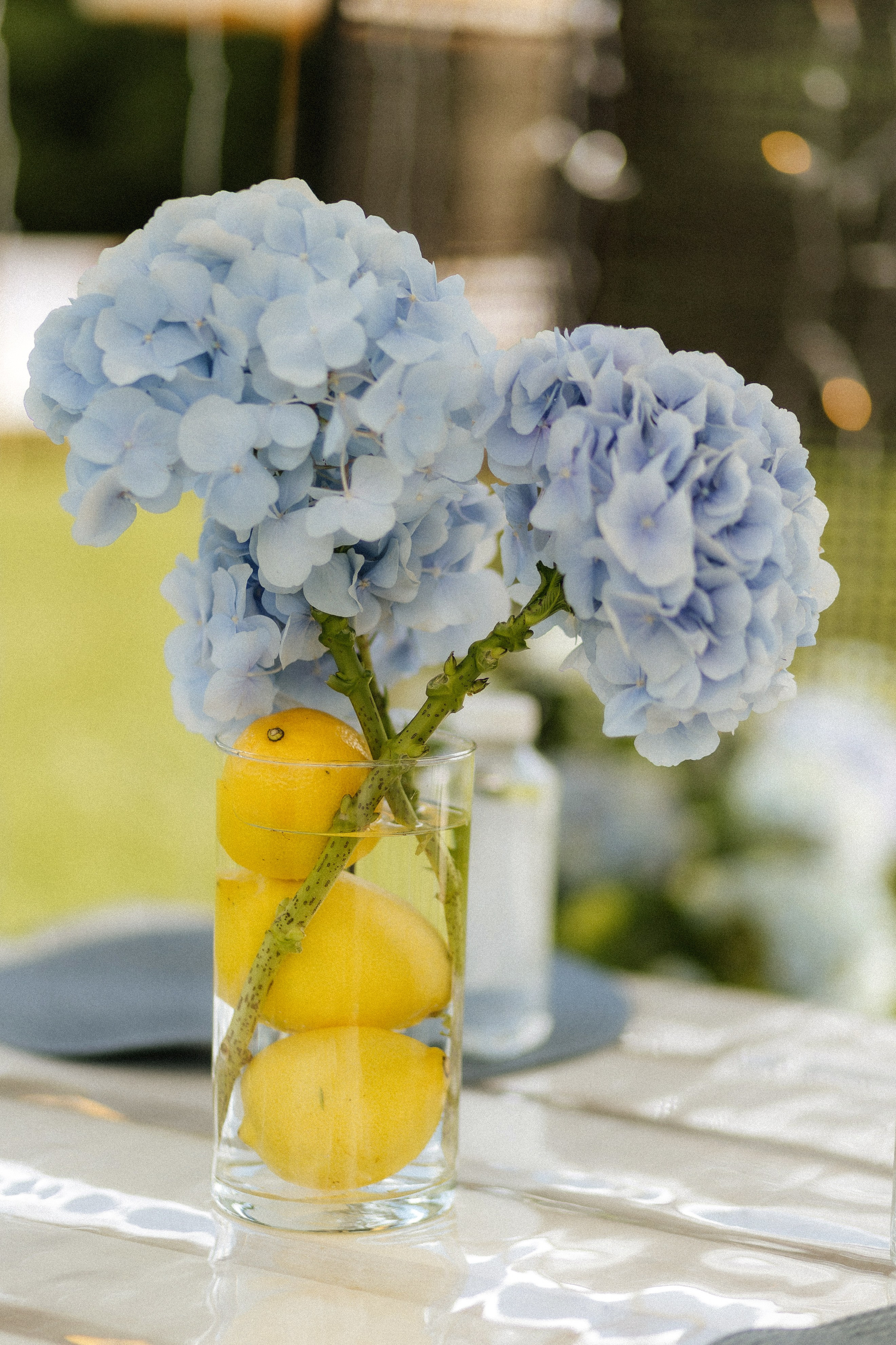 Аня Оушен Birthday party!. Свадебный фотограф в Москве Николай Болт