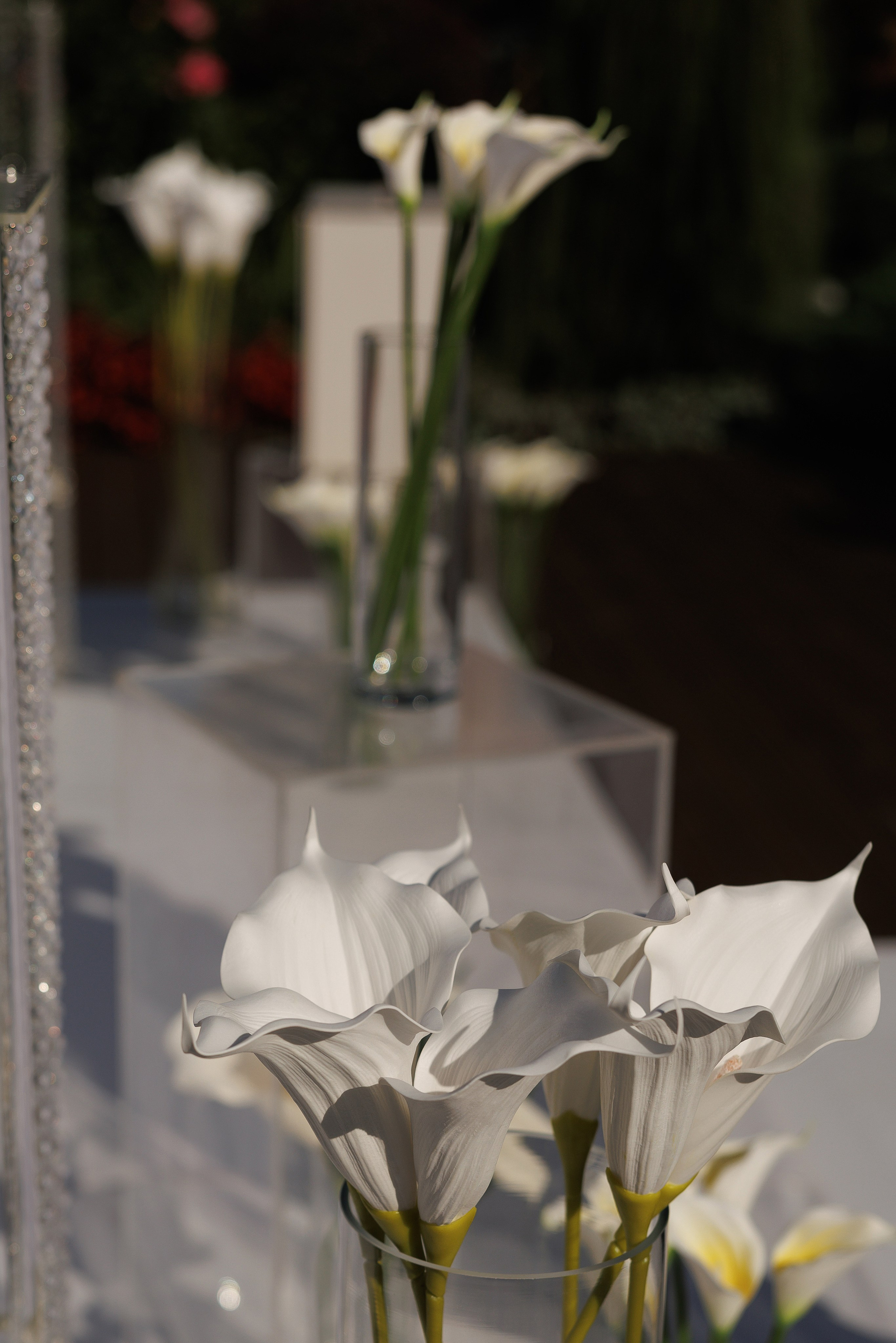 Алёна и Сергей Kedr Hall. Свадебный и семейный фотограф  во Владивостоке Ольга Украинец