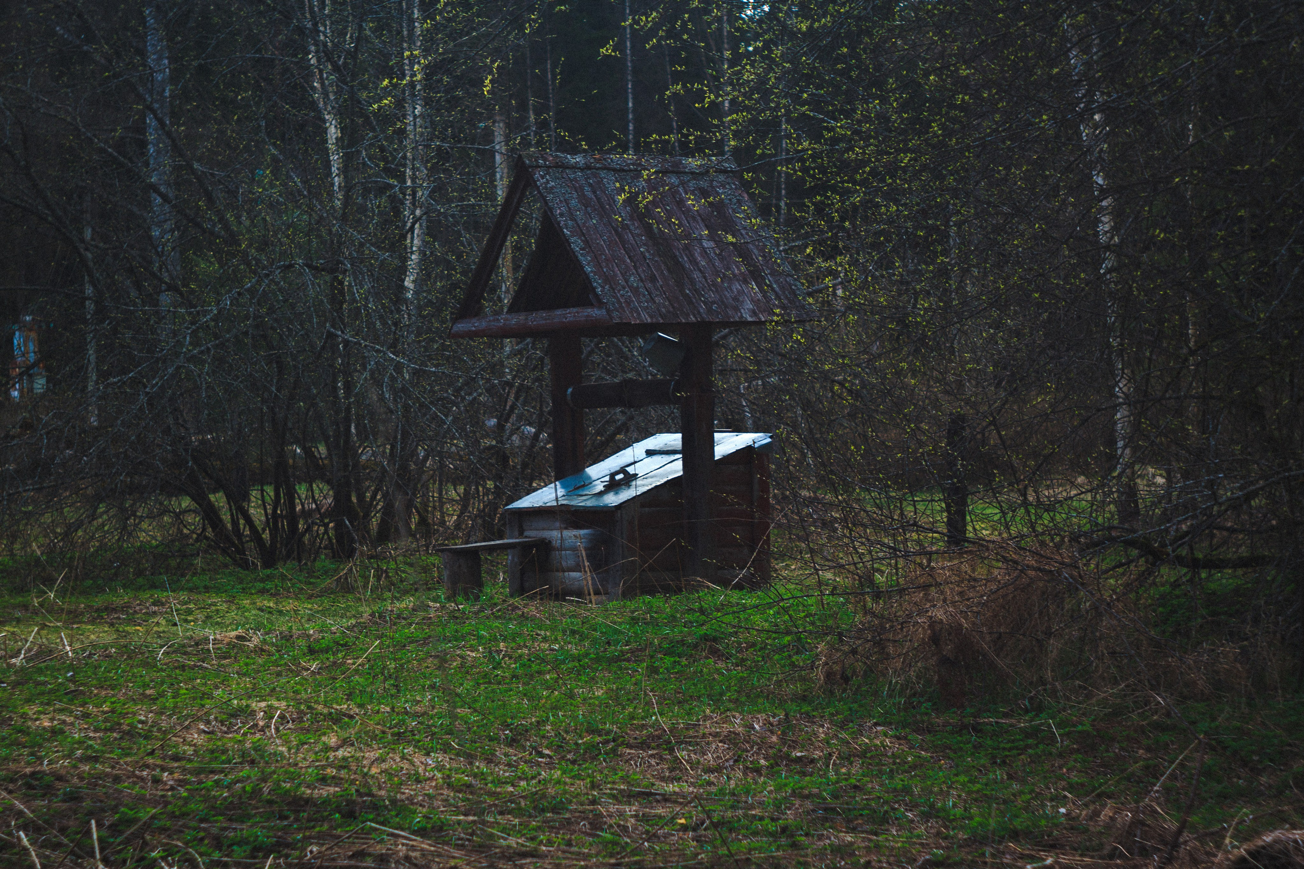 Деревня. Den Mirov — Photographer, Musician