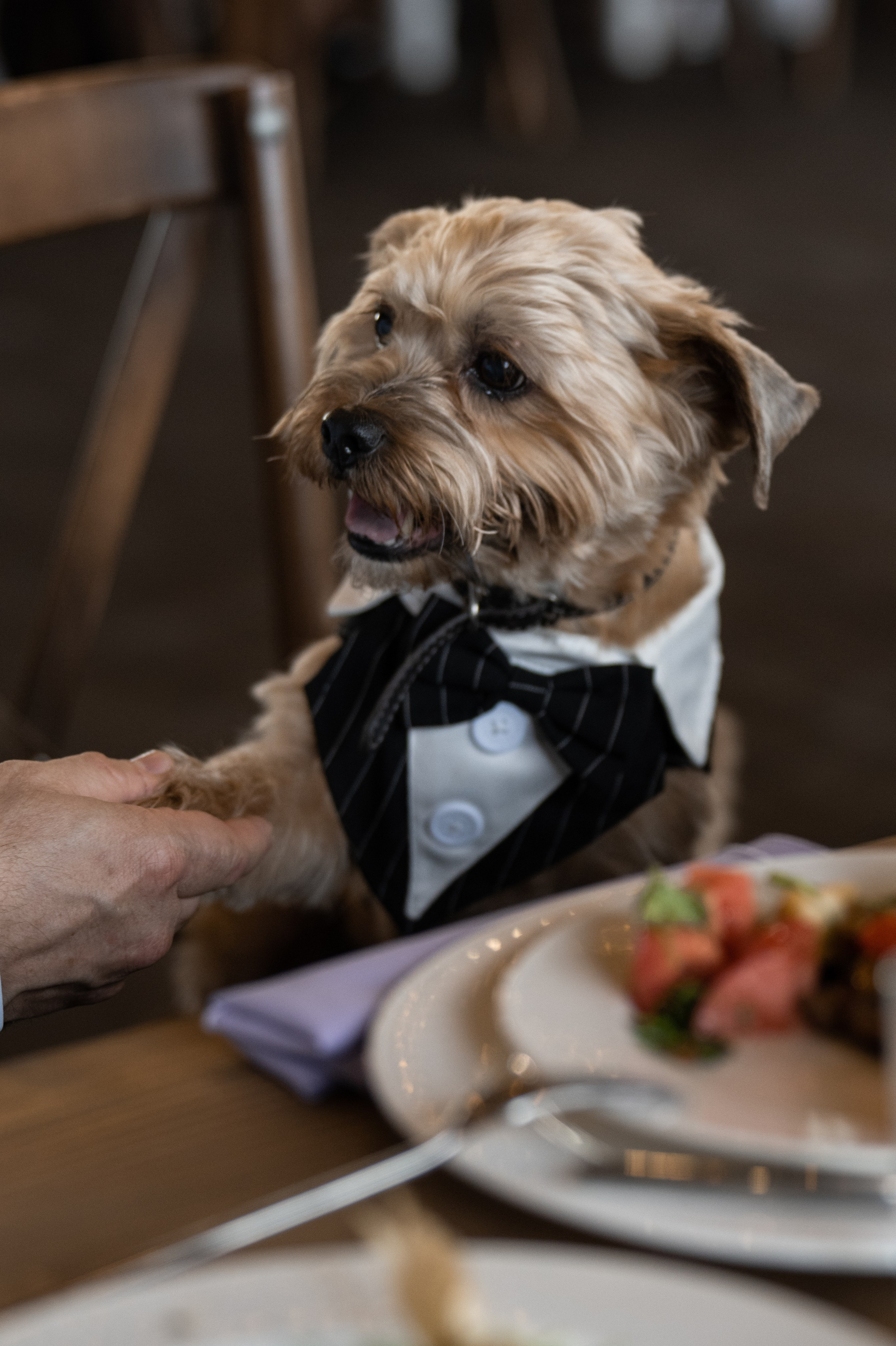 2024. Дима и Маша. Свадебный и семейный фотограф в Москве и Европе Евгения Амелина