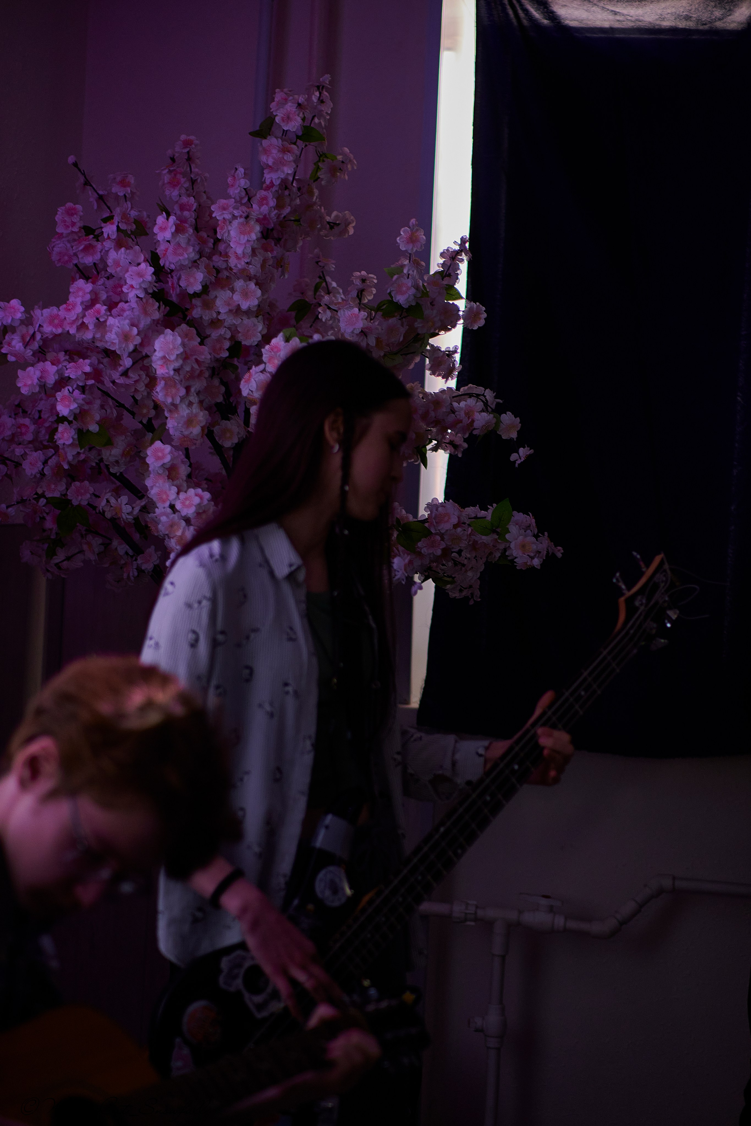 Крик (Чайка 11.05.24). Портретный и репортажный фотограф в Магадане Андрей Нефедов WinterCatPhoto