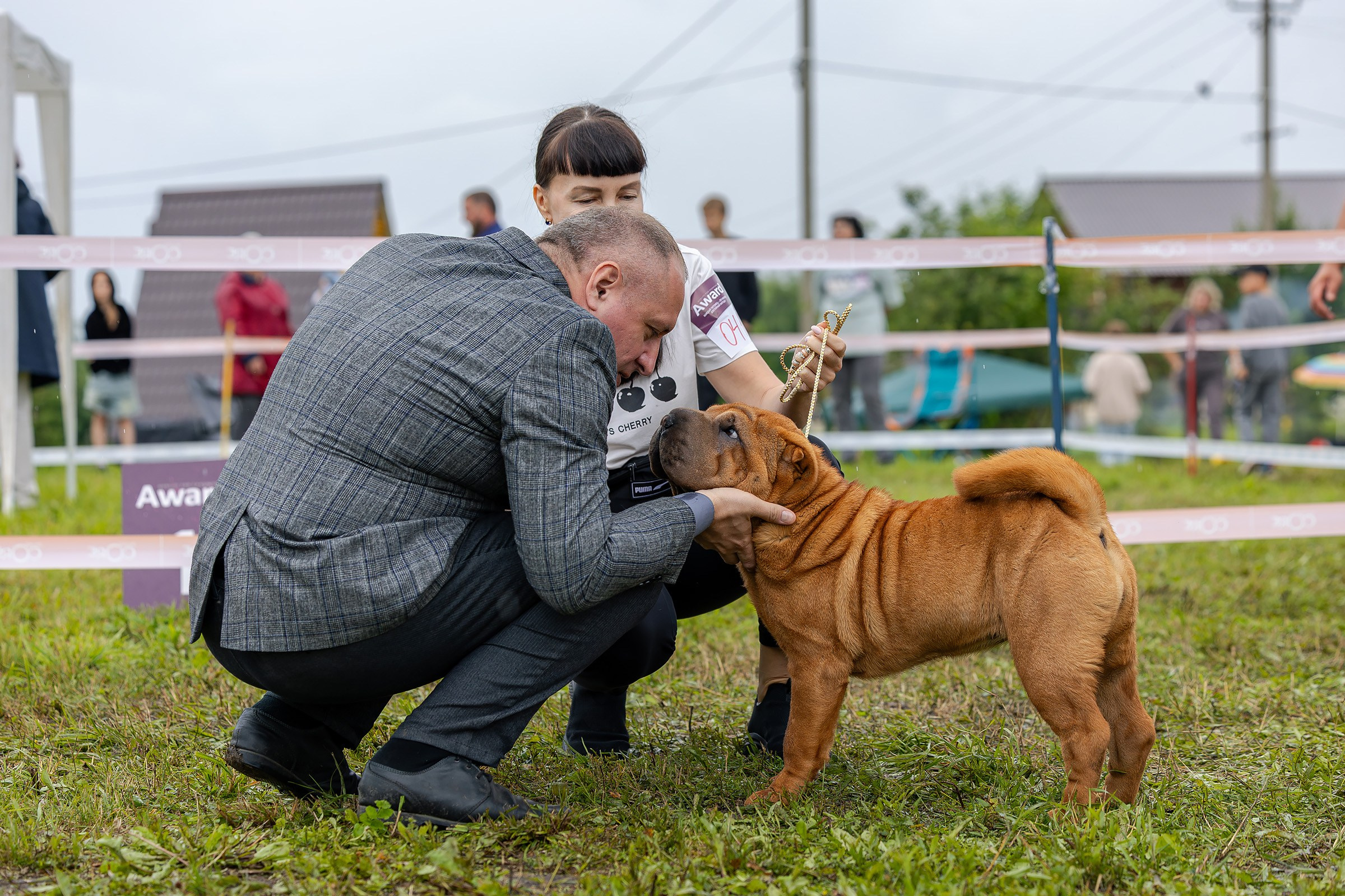 28 июня 2025, Выставка РКФ, г. Кунгур. Htykk_photo