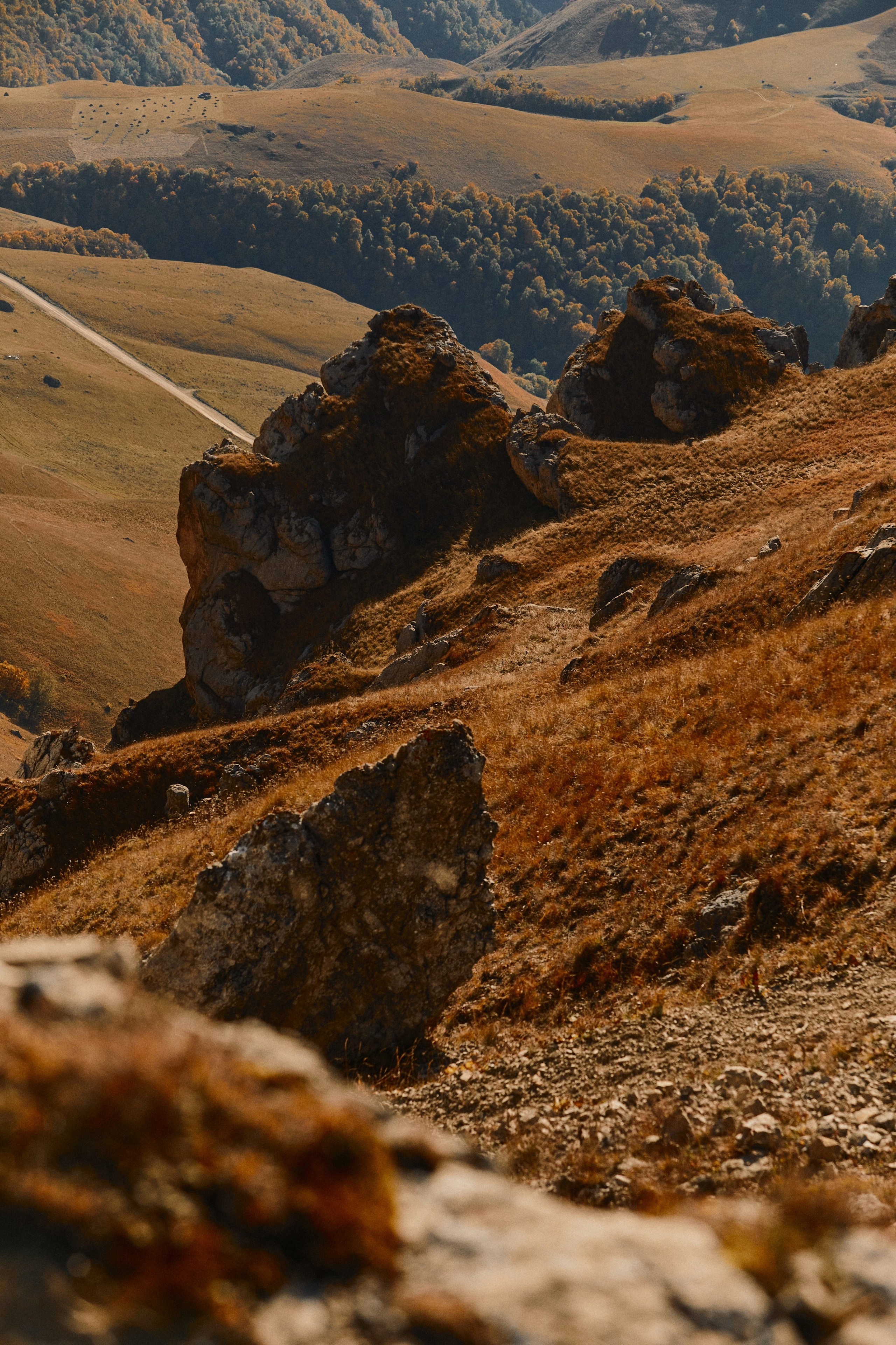 Лха 2500. Фотограф Продюсер в горах КБР / Москва  Нальчик Горы