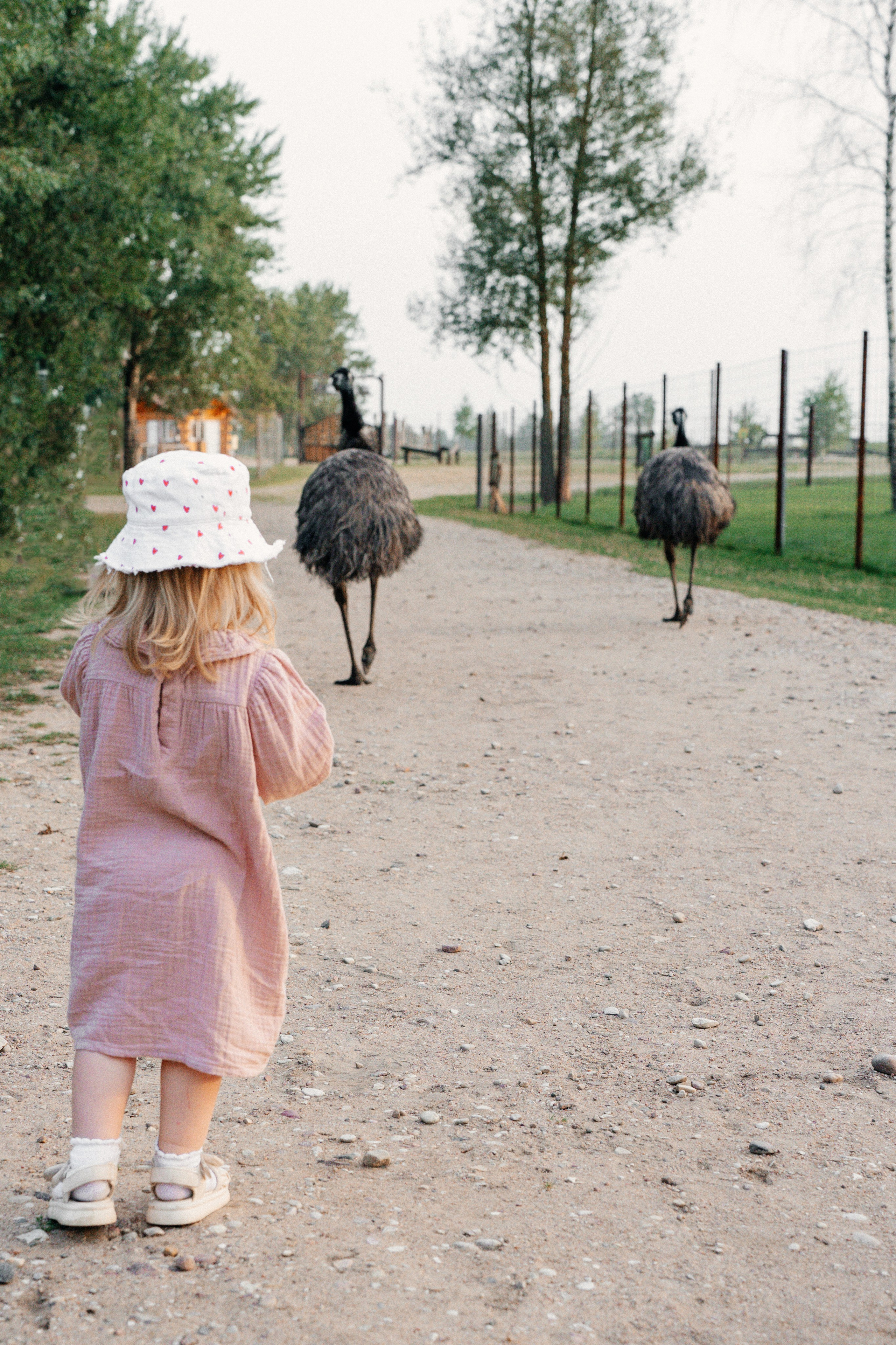 Диприз — в мире диких животных. Ваш семейный фотограф в Минске — Вика Трегубова