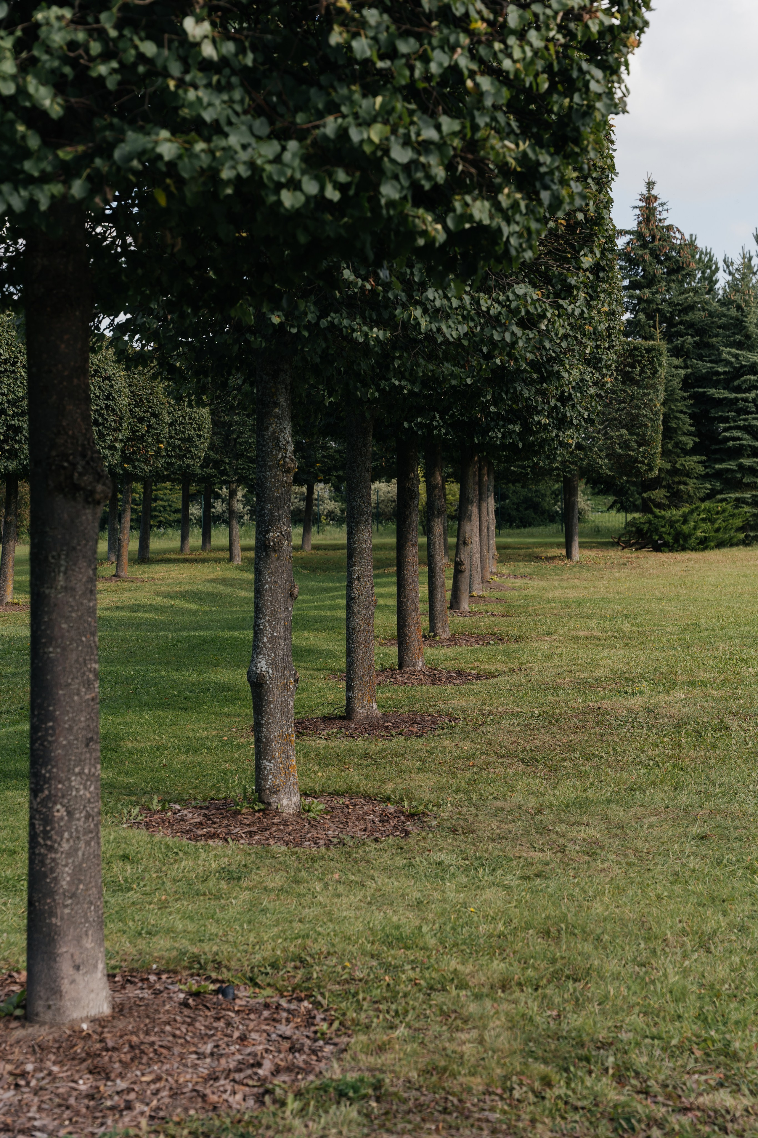 Москва (Вилла Микетти). Свадебный фотограф Наталья Помазкина | Репортаж Екатеринбург Москва