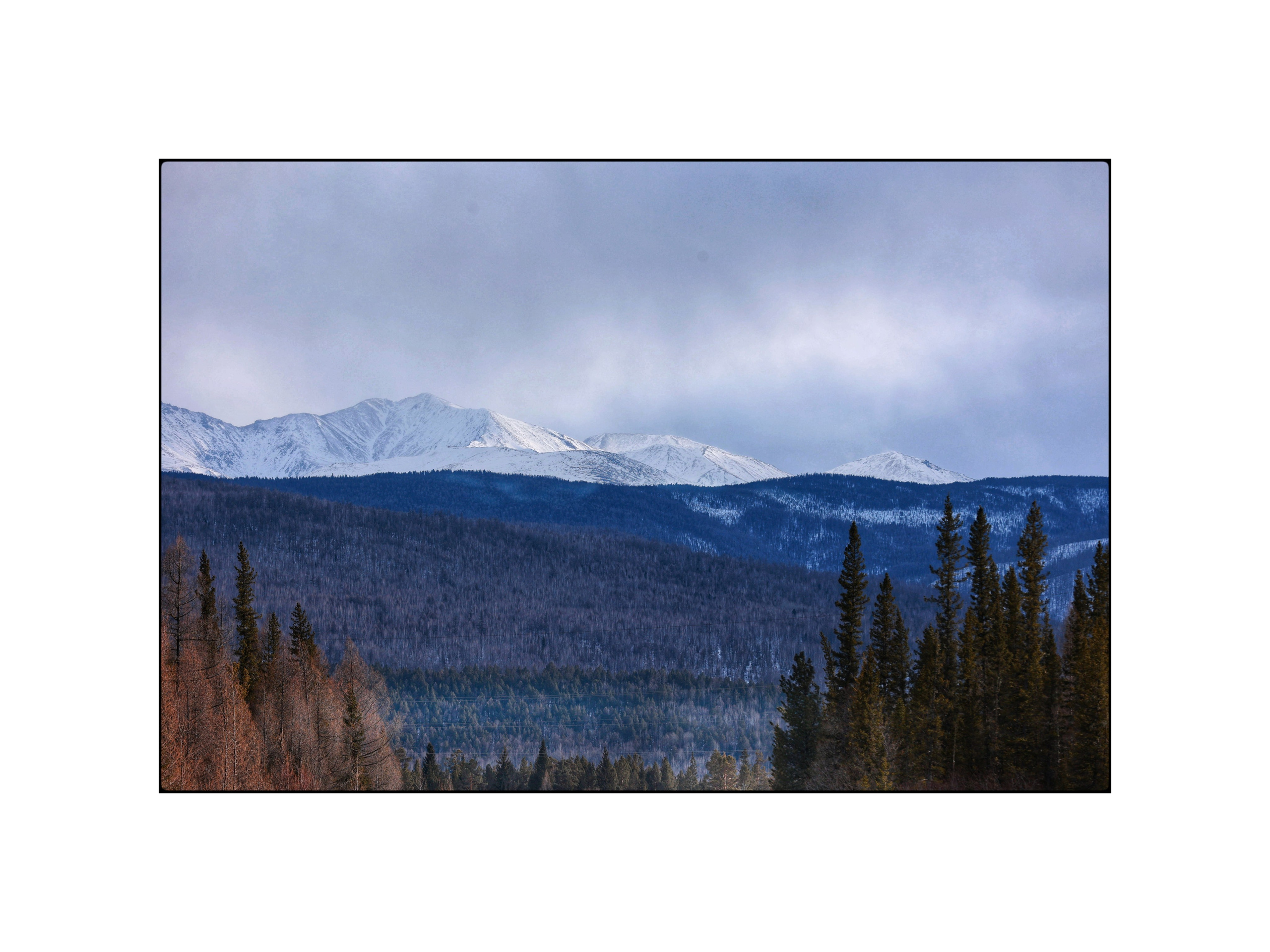 2022. Тащилин Сергей. Фотографии. Жизнь. Хобби