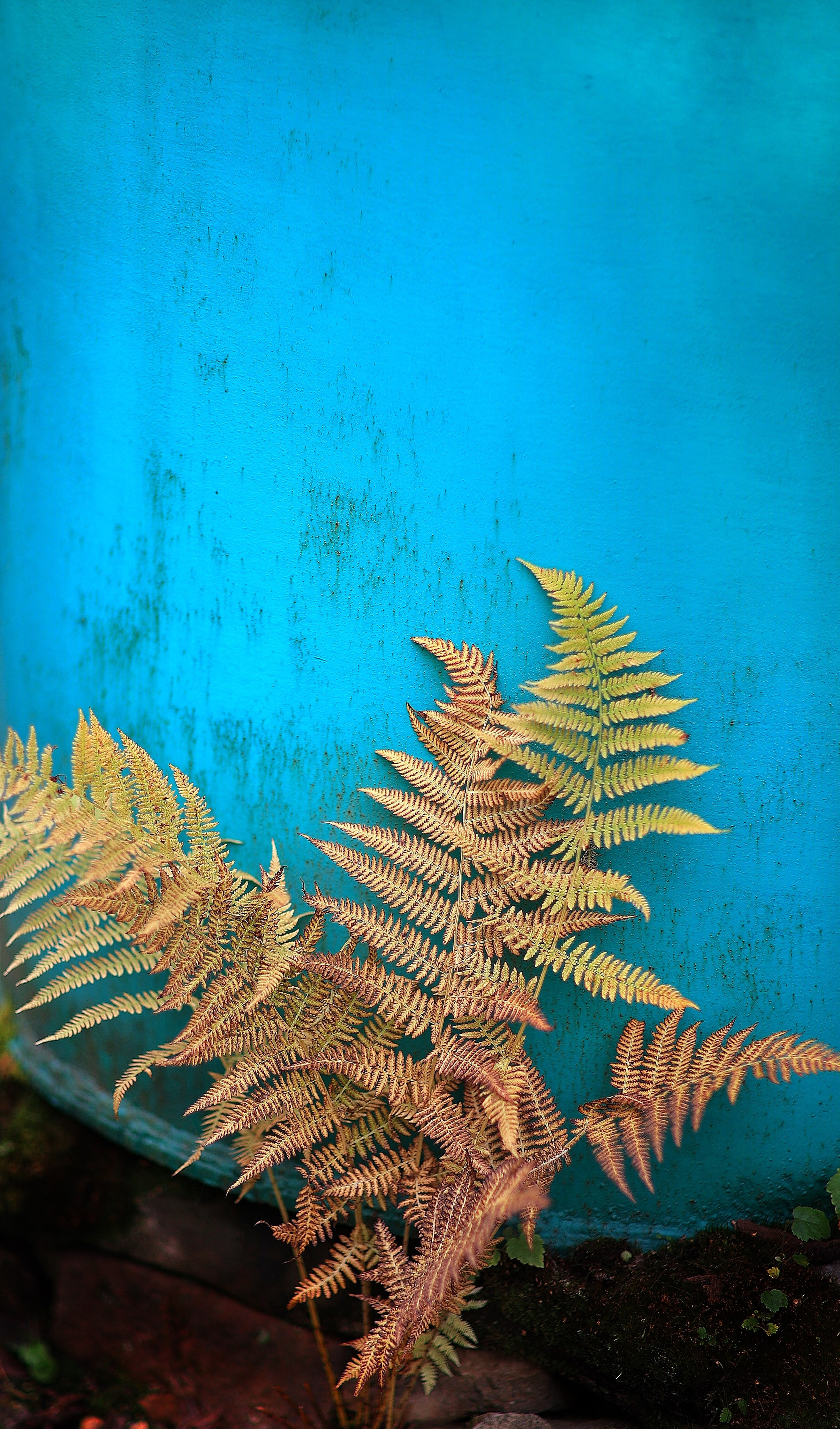 2022. Тащилин Сергей. Фотографии. Жизнь. Хобби