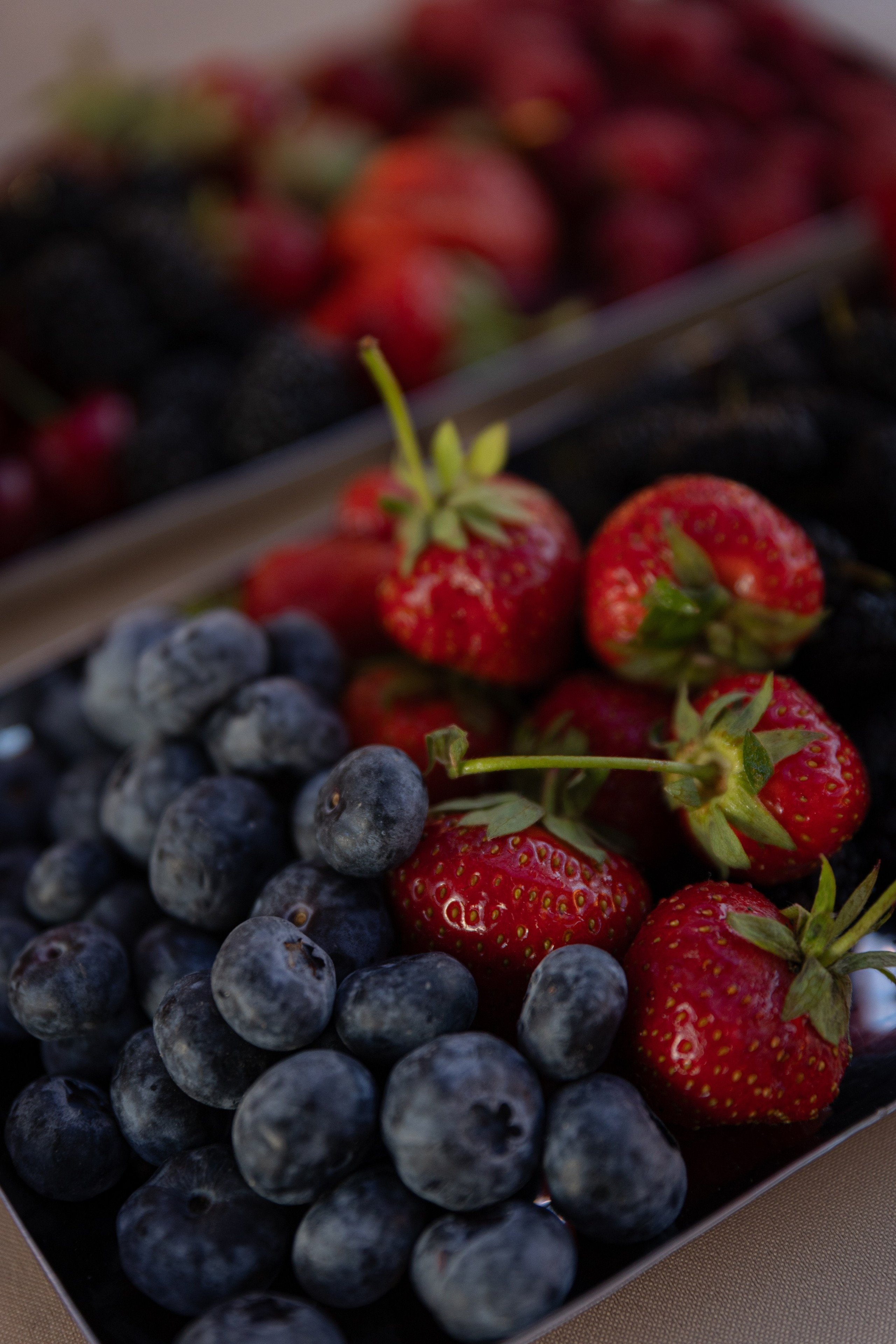 ПМЭФ'24. Ваш фотограф — Александра Андрущенко