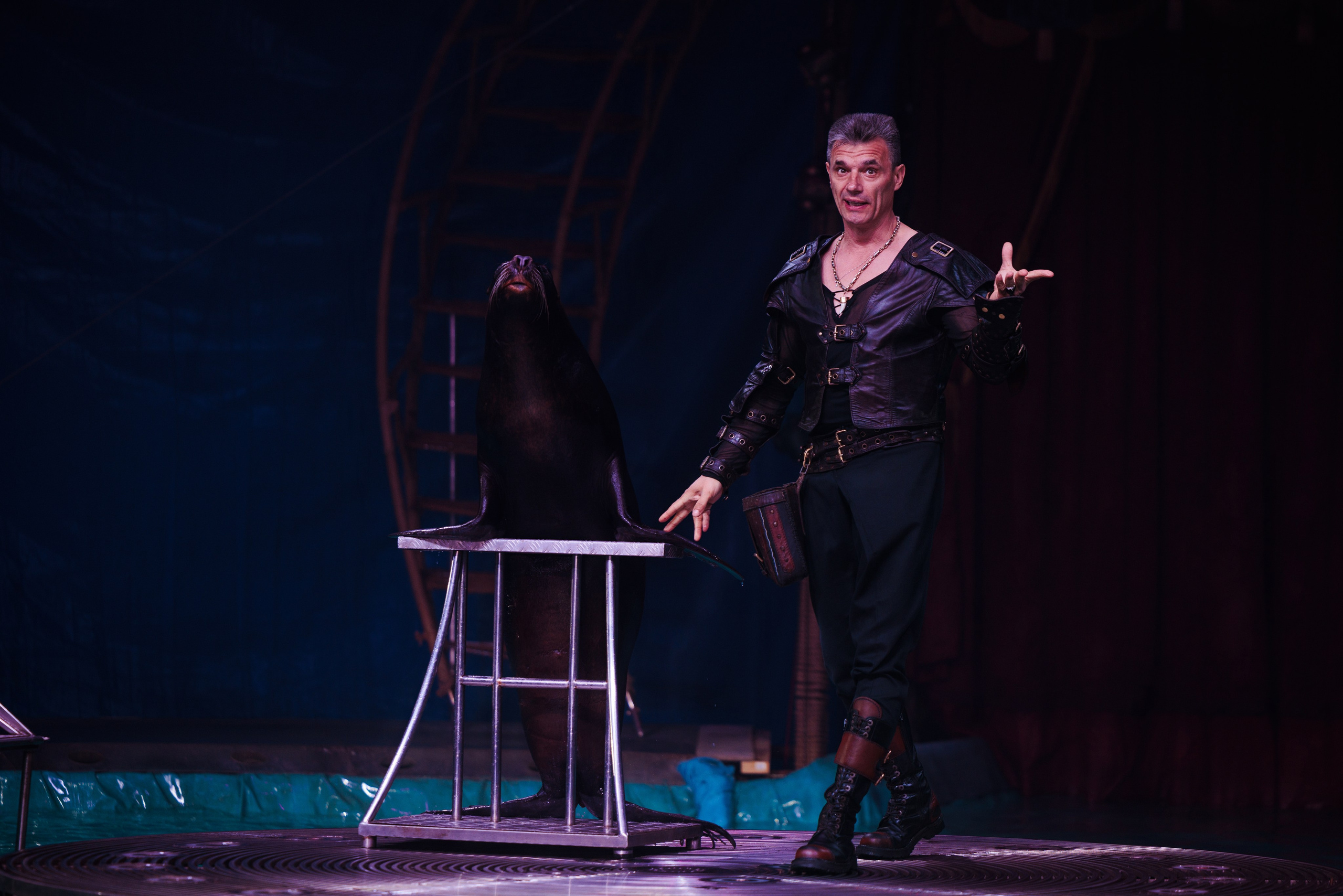 Aqua Circus. Фотограф мероприятий в Таганроге Александр Потихонов