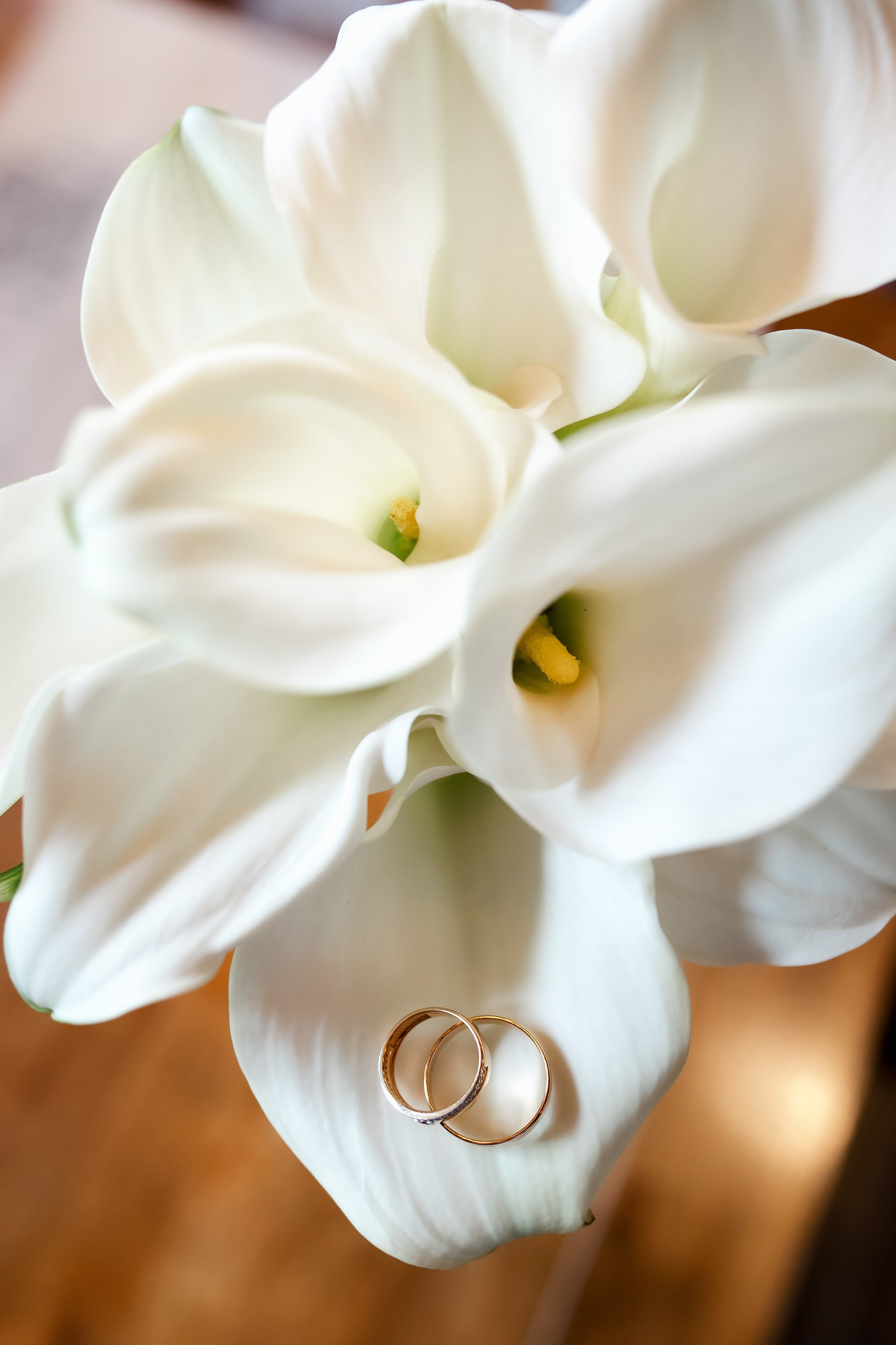 Свадебный фотограф в Хабаровске