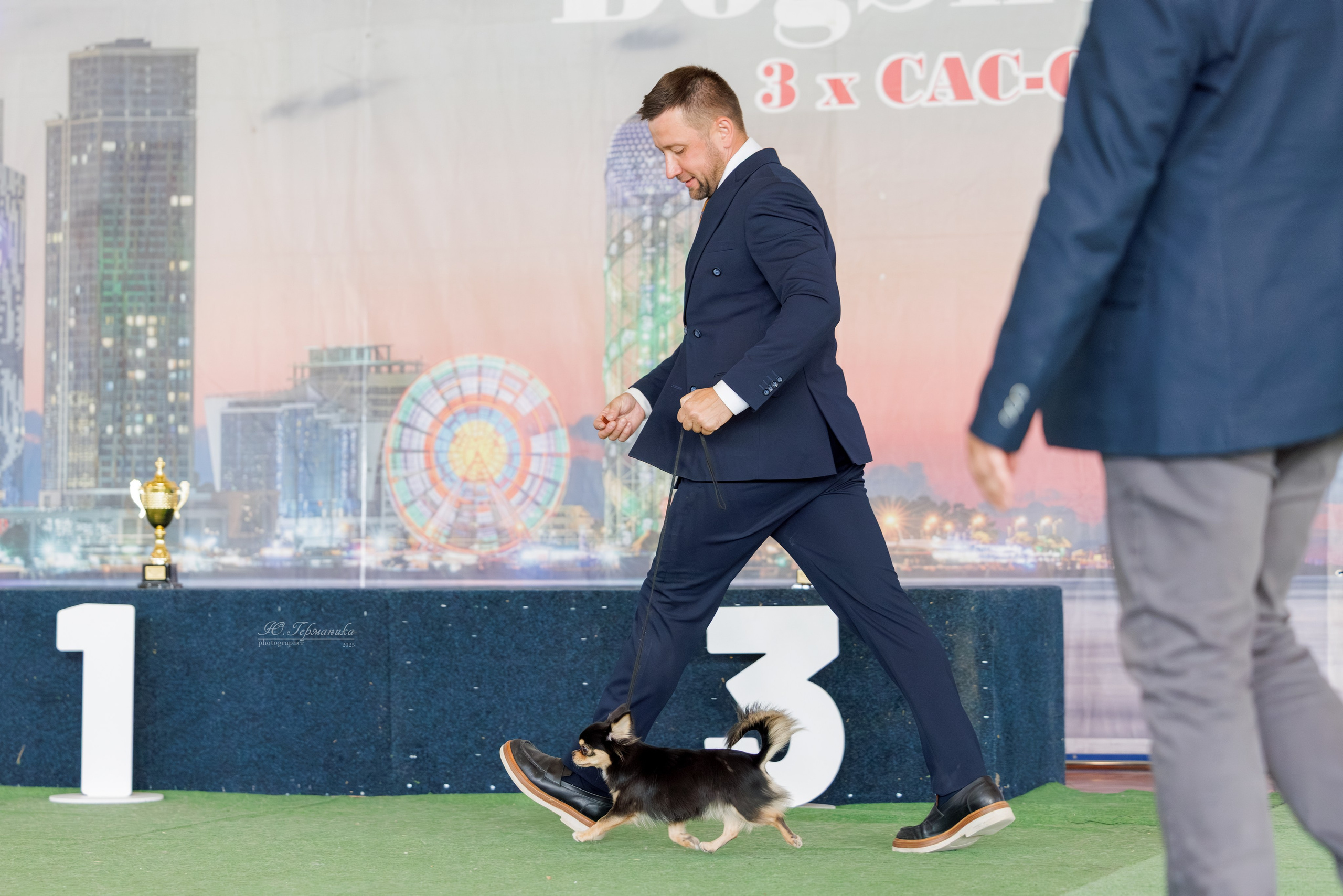 Батуми 3хCACIB 27-29.06.2025. Фотограф-анималист Юлия Германика