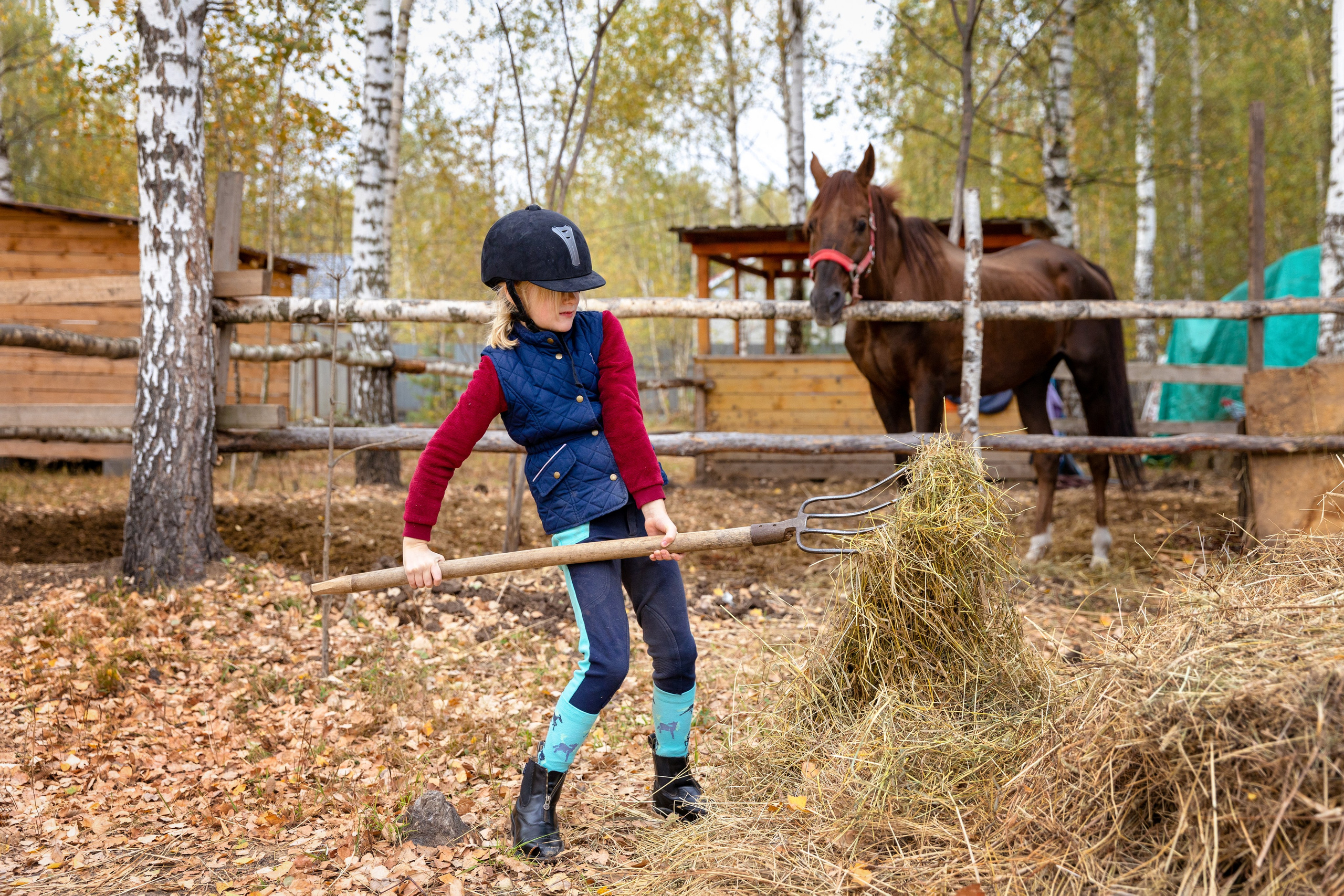 Конная тренировка Анастасии