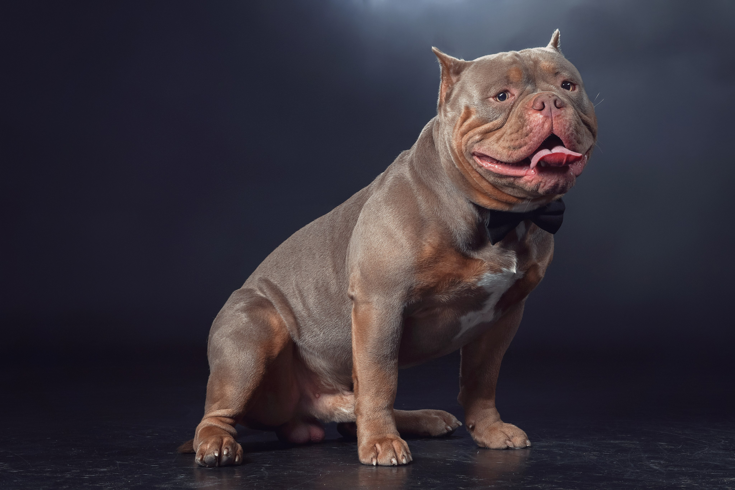 Фотограф людей и животных в Санкт-Петербурге Марина Бурмистрова