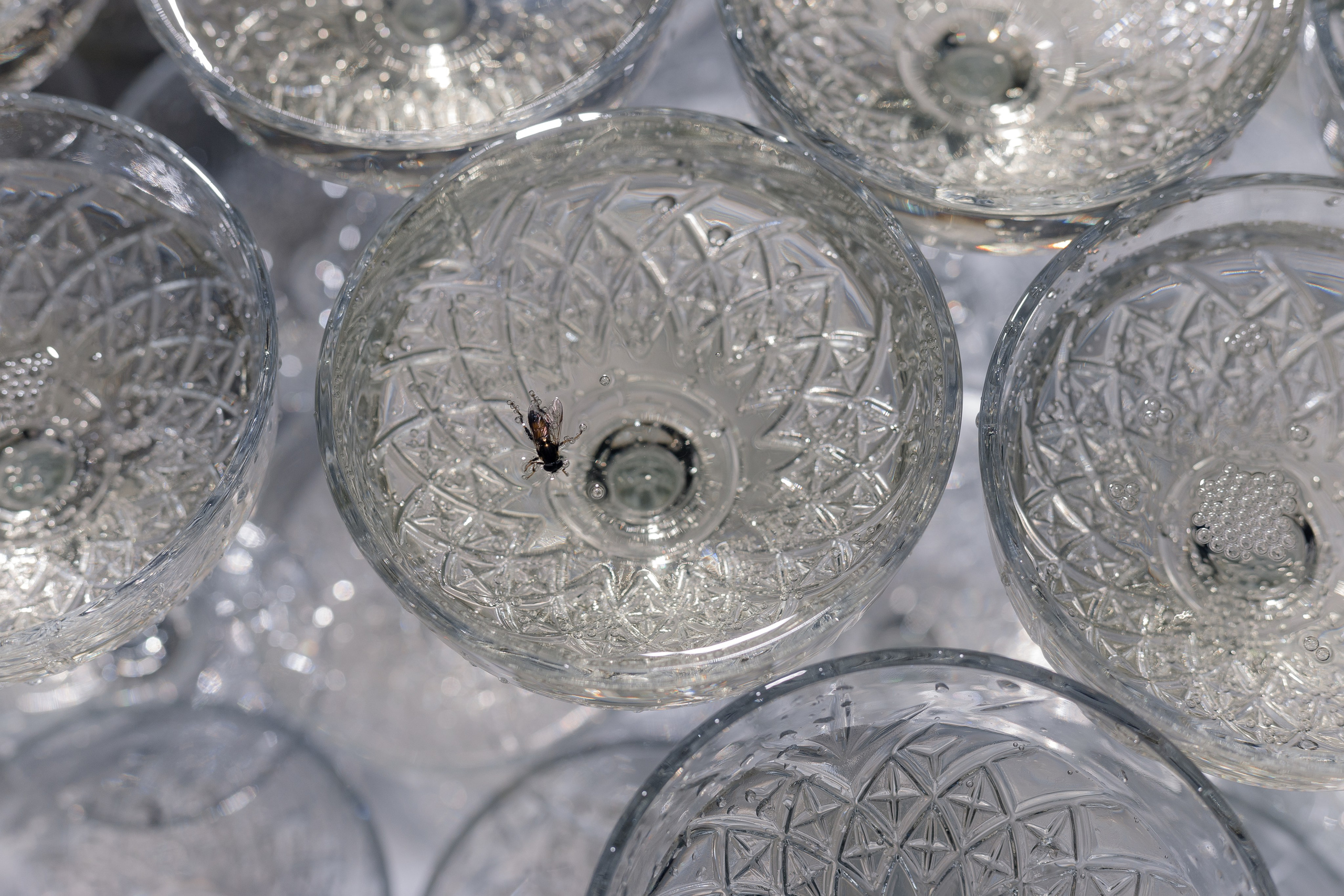 Maria&Andrey. Свадебный фотограф в Москве Дмитрий Тарасов