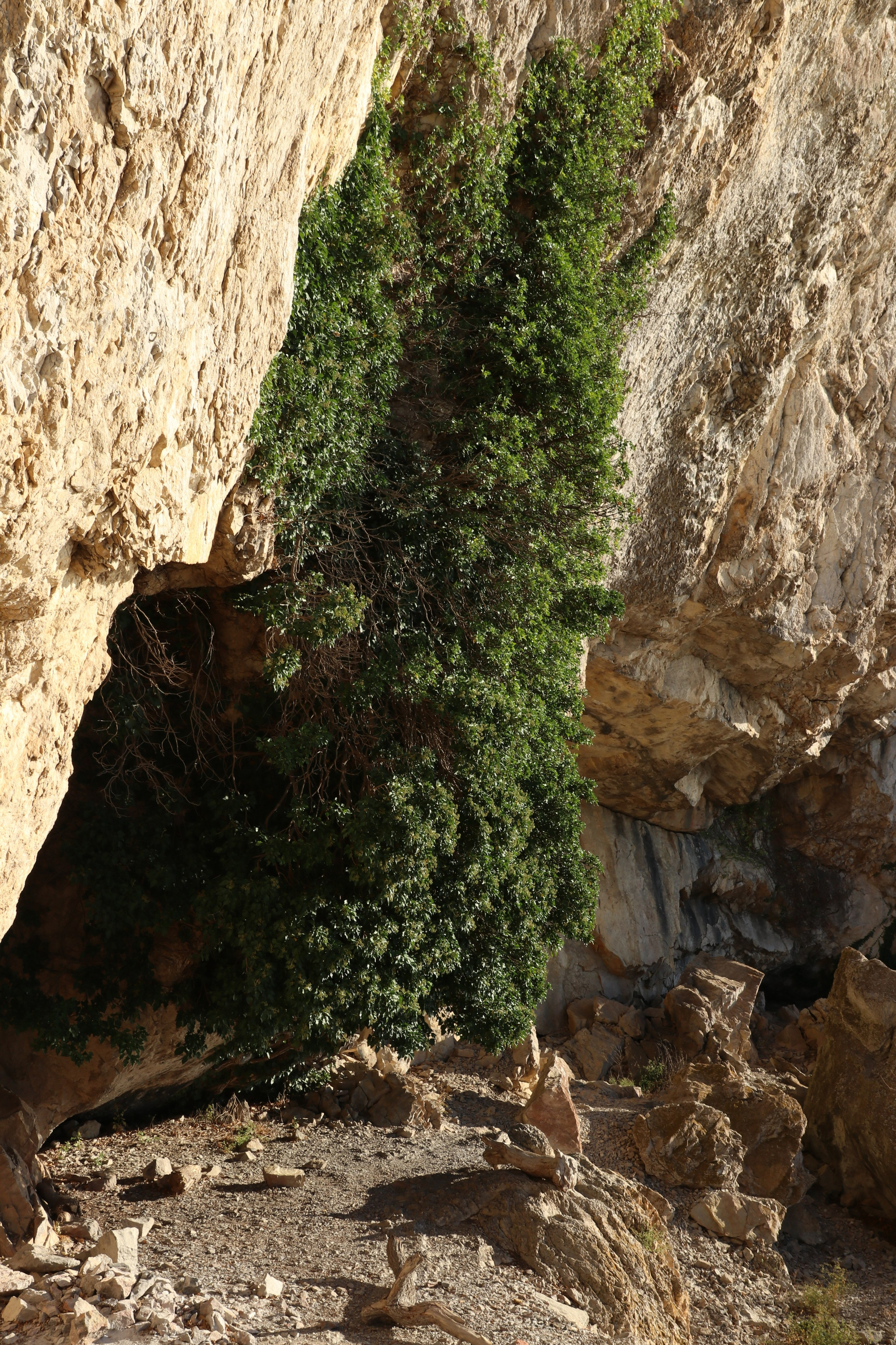 Крым. ЮБК (Гурзуф, Судак и их окрестности). Ноябрь 2023. Путешественник-фотограф из Санкт-Петербурга Татьяна Свистулина