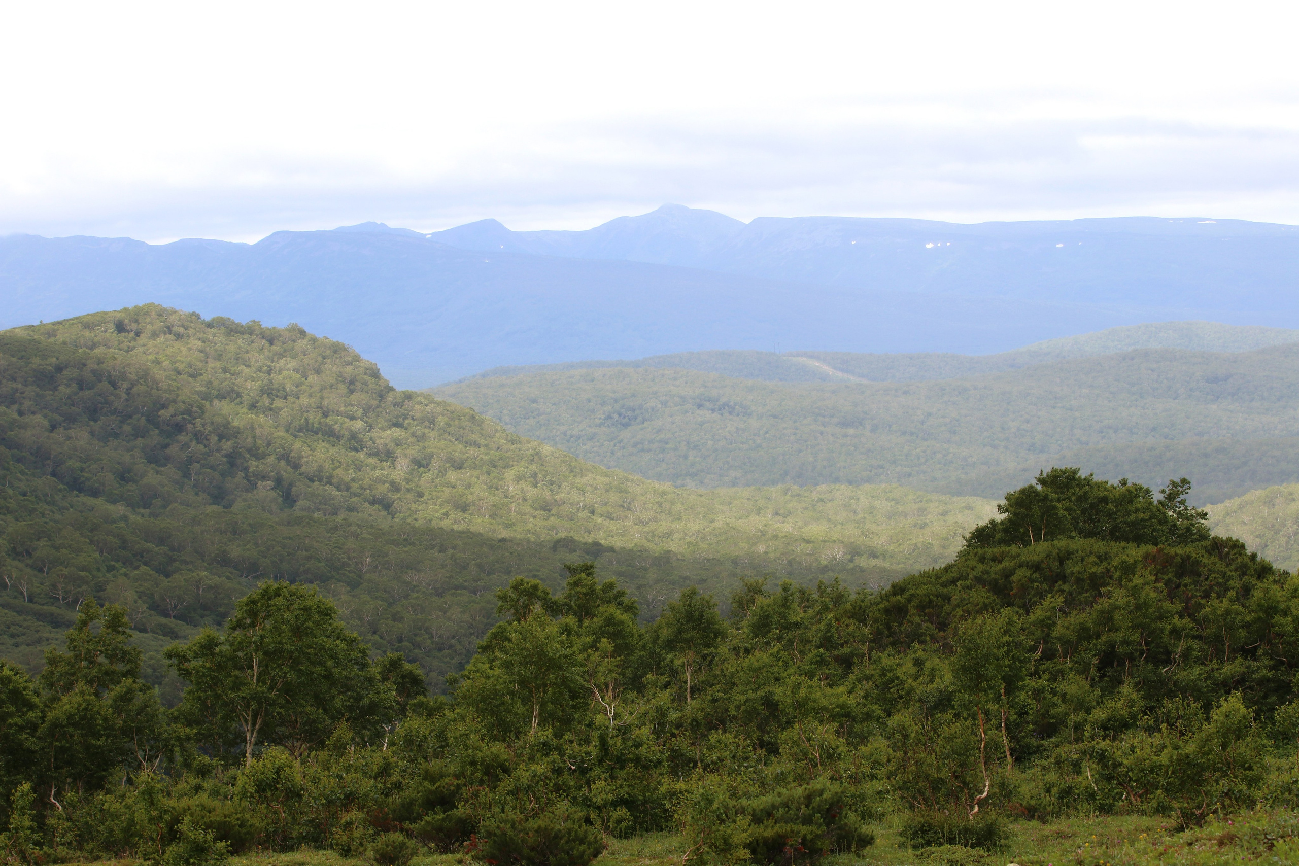 Камчатка и о. Парамушир. Июль 2024. Путешественник-фотограф из Санкт-Петербурга Татьяна Свистулина