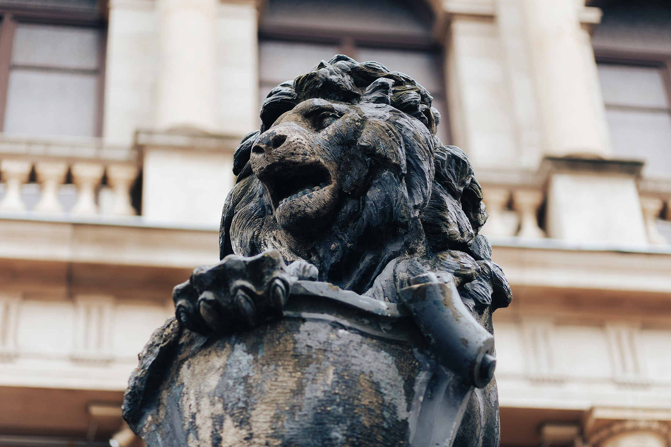 Уличная фотосессия в центре Калининграда | Профессиональный фотограф. Фотосъемка и видеосъемка в Калининграде Liveemotion.pro