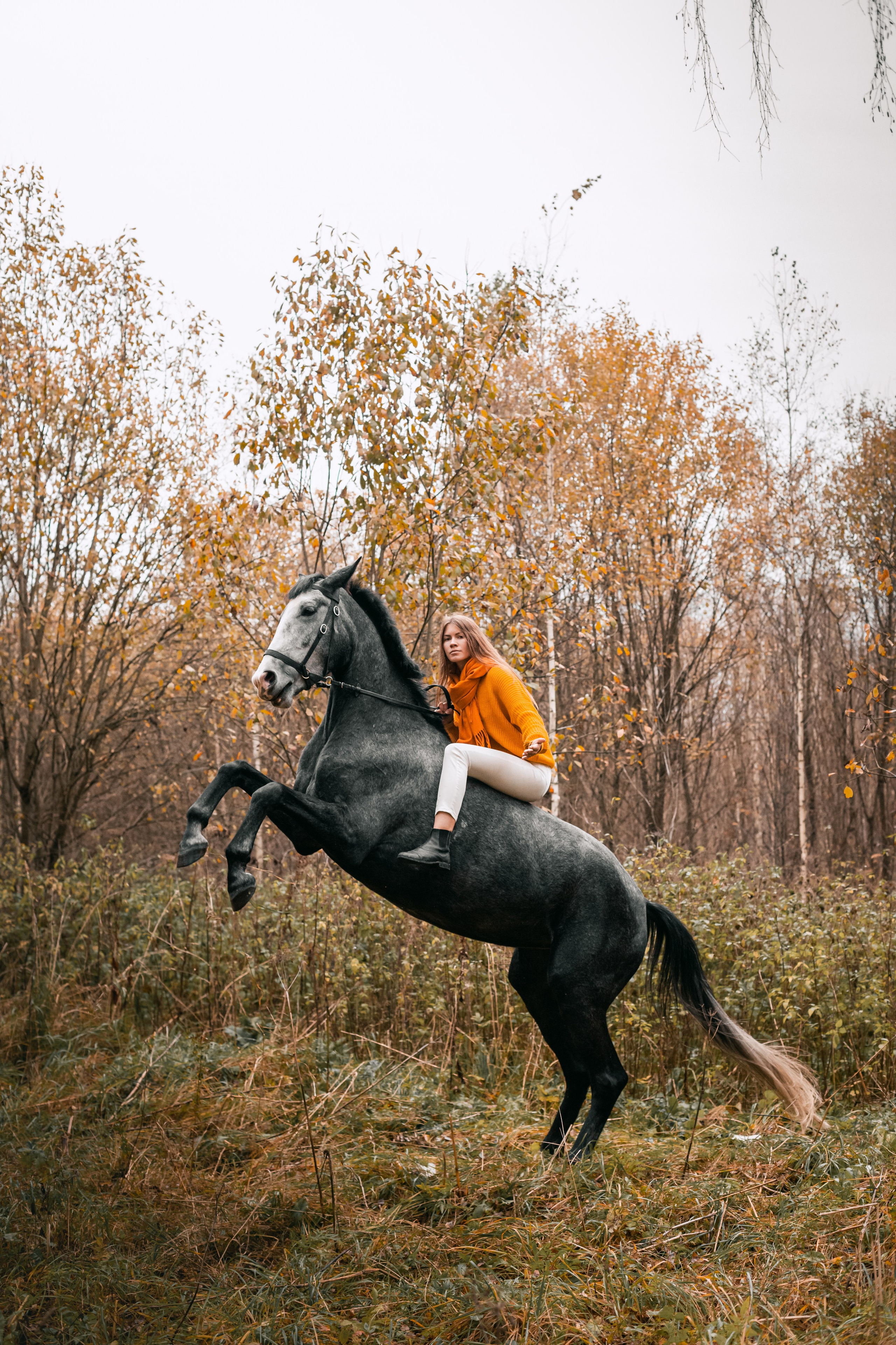 Аня и Джози. Фотограф-анималист Татьяна Степанова