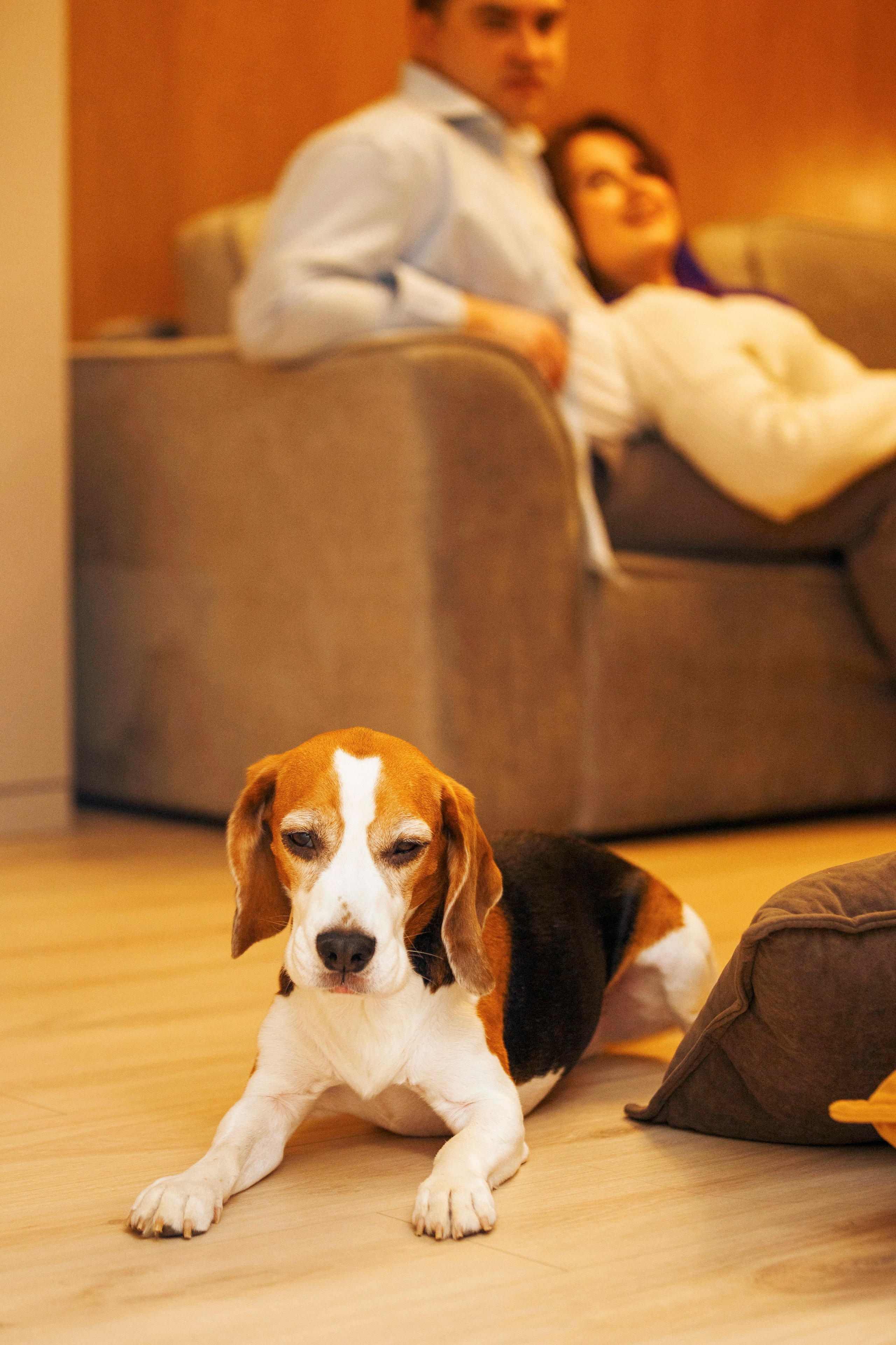 Дома. Photographer in Montenegro Tatiana Talaeva