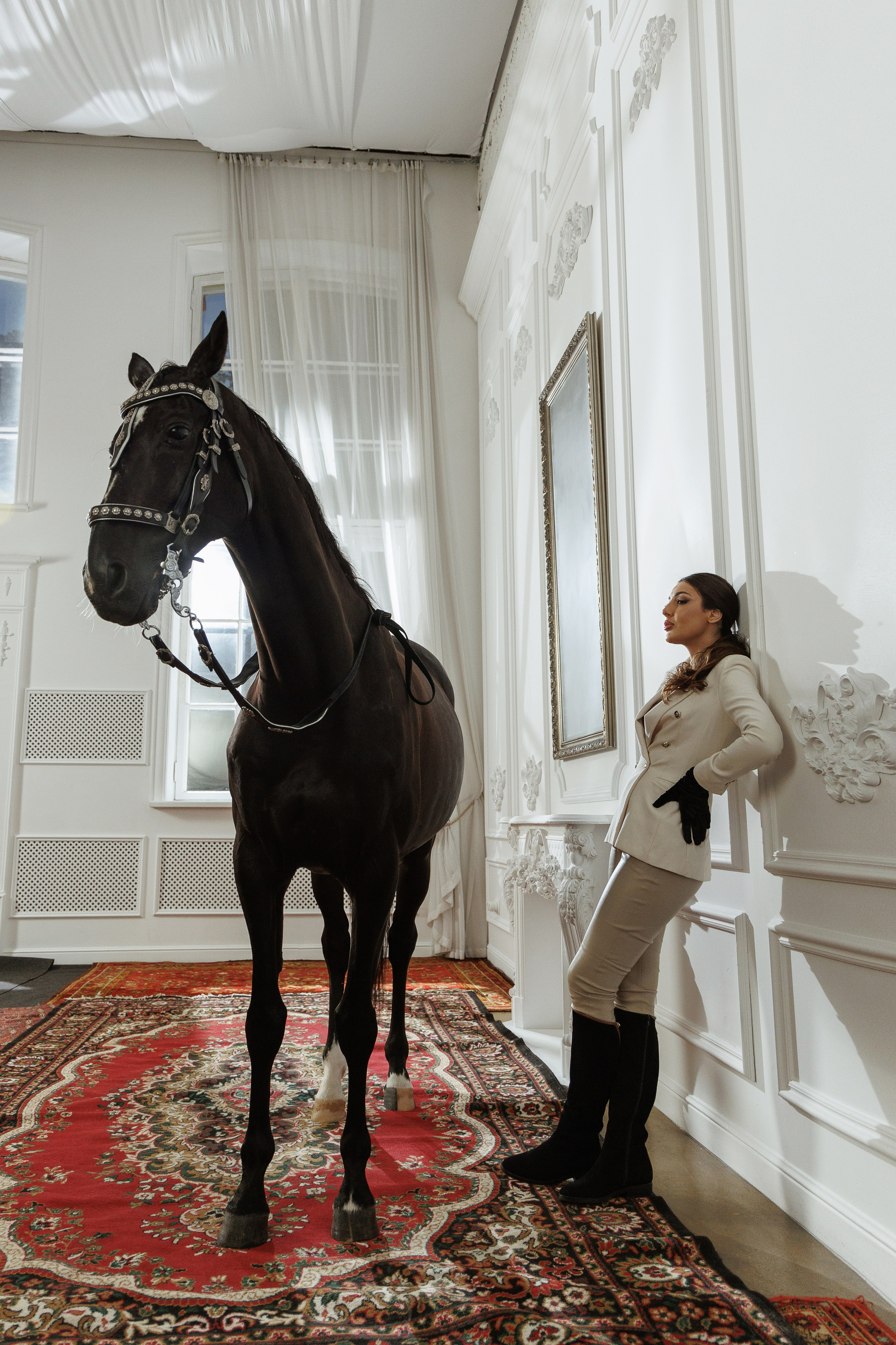 Лошадь в особняке. Марковкина КрисТина