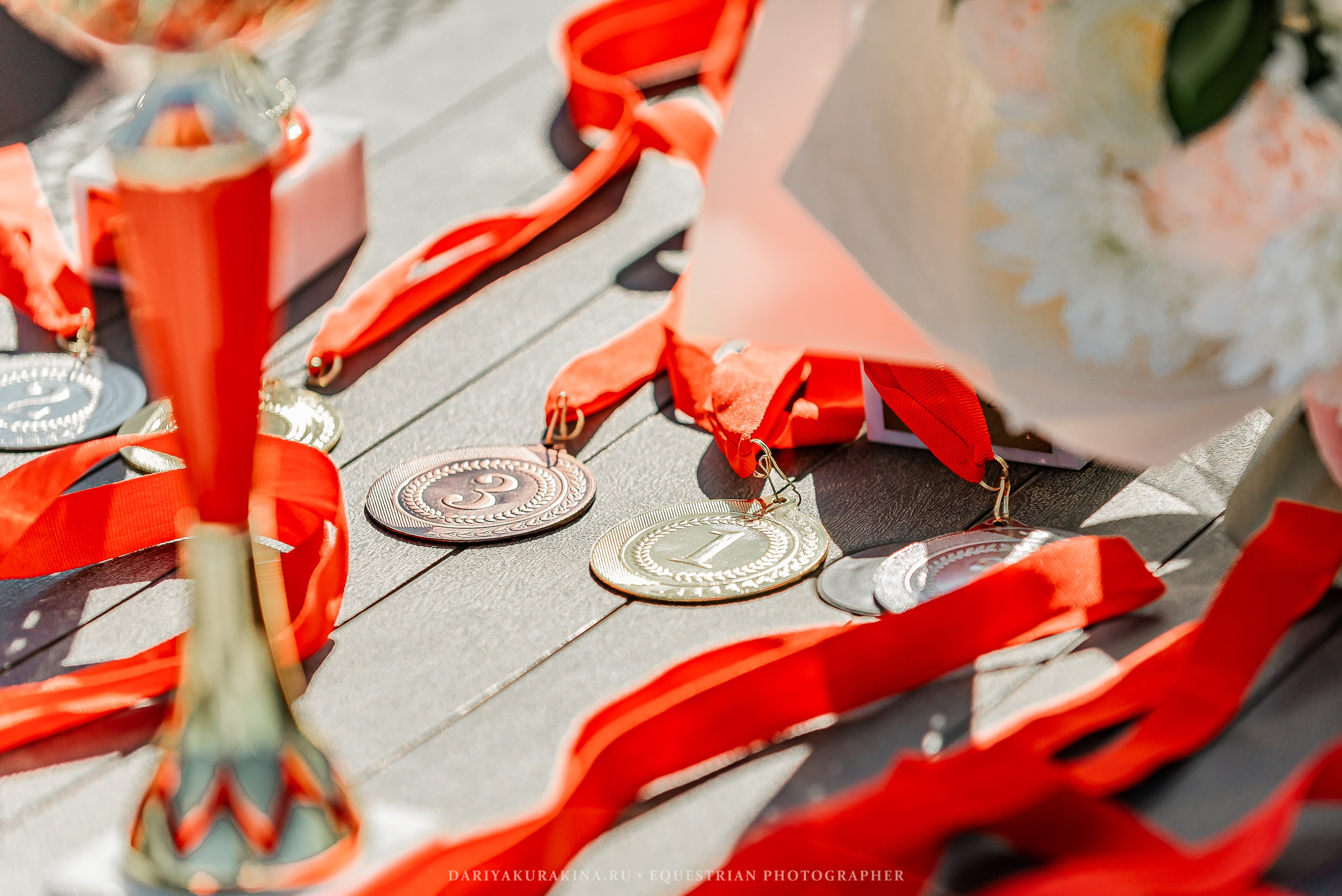 РЕПОРТАЖ МКК ВОЛЬТ «LA TULIPS». Конный фотограф Куракина Дарья • Фотосессии с лошадьми