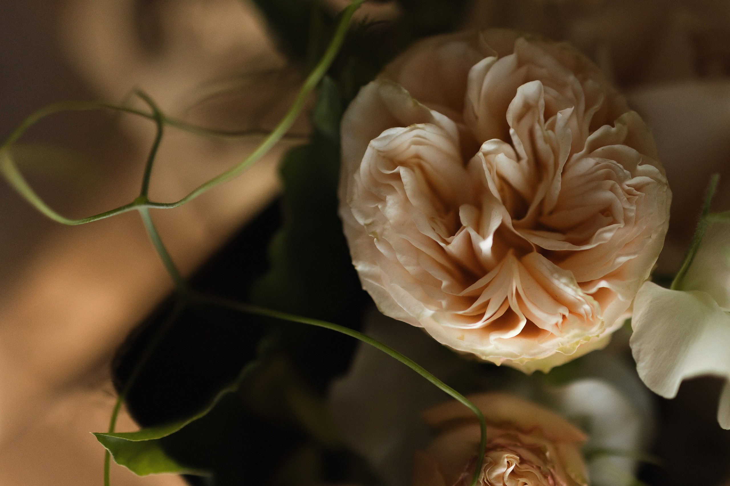 S&E. Свадебный фотограф Лиза Макатович Беларусь Минск