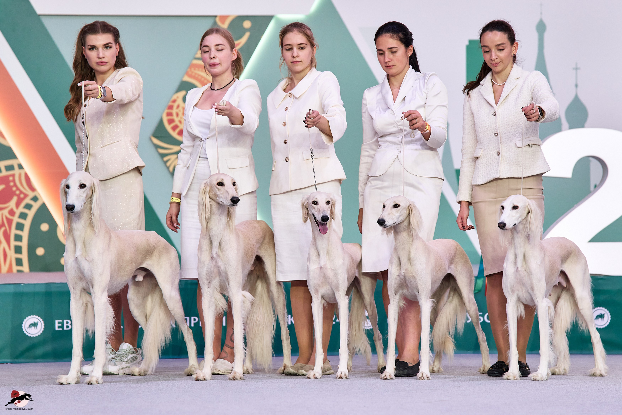 17.11.2024 «ЕВРАЗИЯ. КУБОК СНГ 2024»