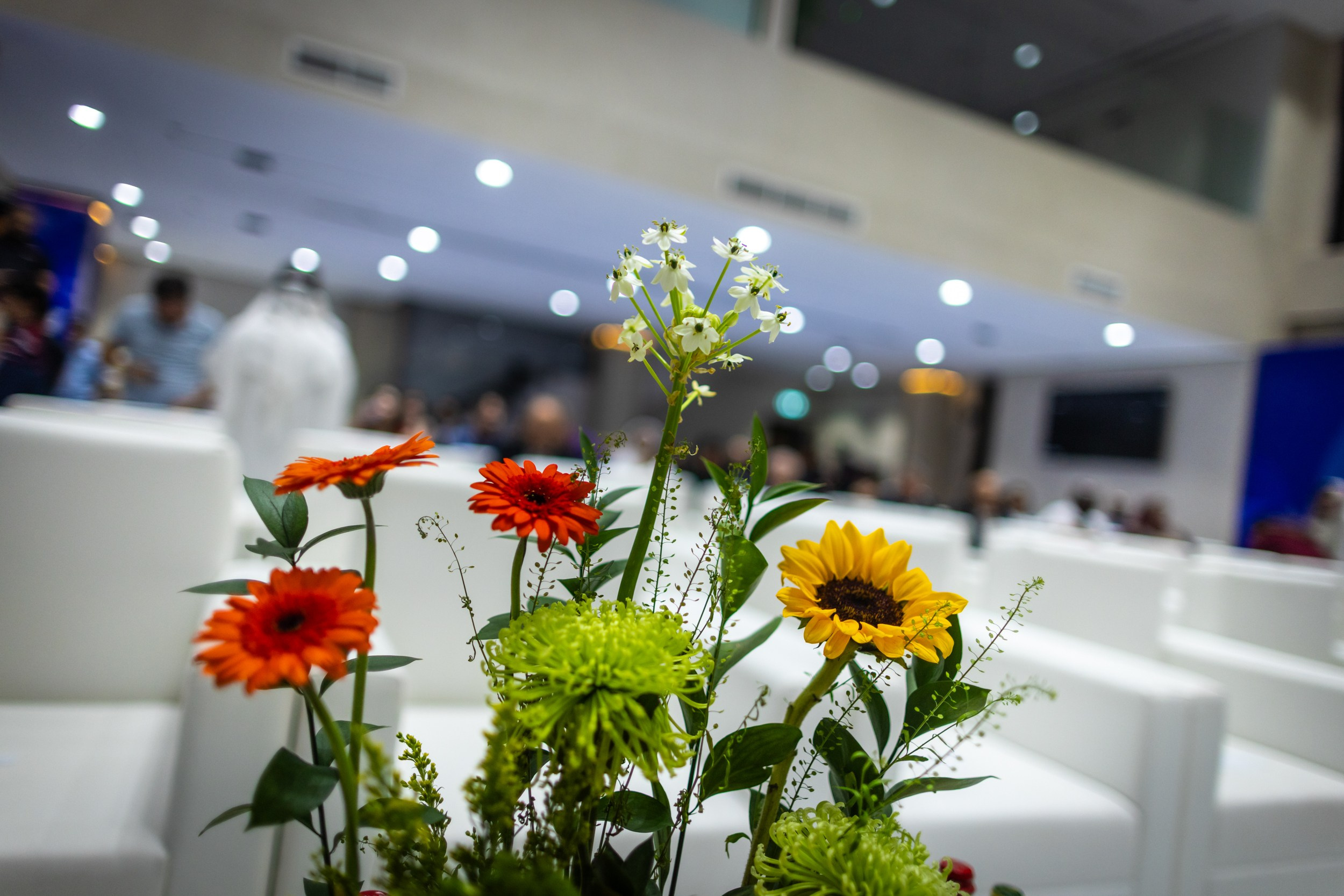 2025.09.01 1st. FUJAIRAH GLOBAL Chess Championship — Closing Ceremony. Фотограф Анна Штурман (репортажная съёмка любых событий и мероприятий) Anna Shtourman photographer