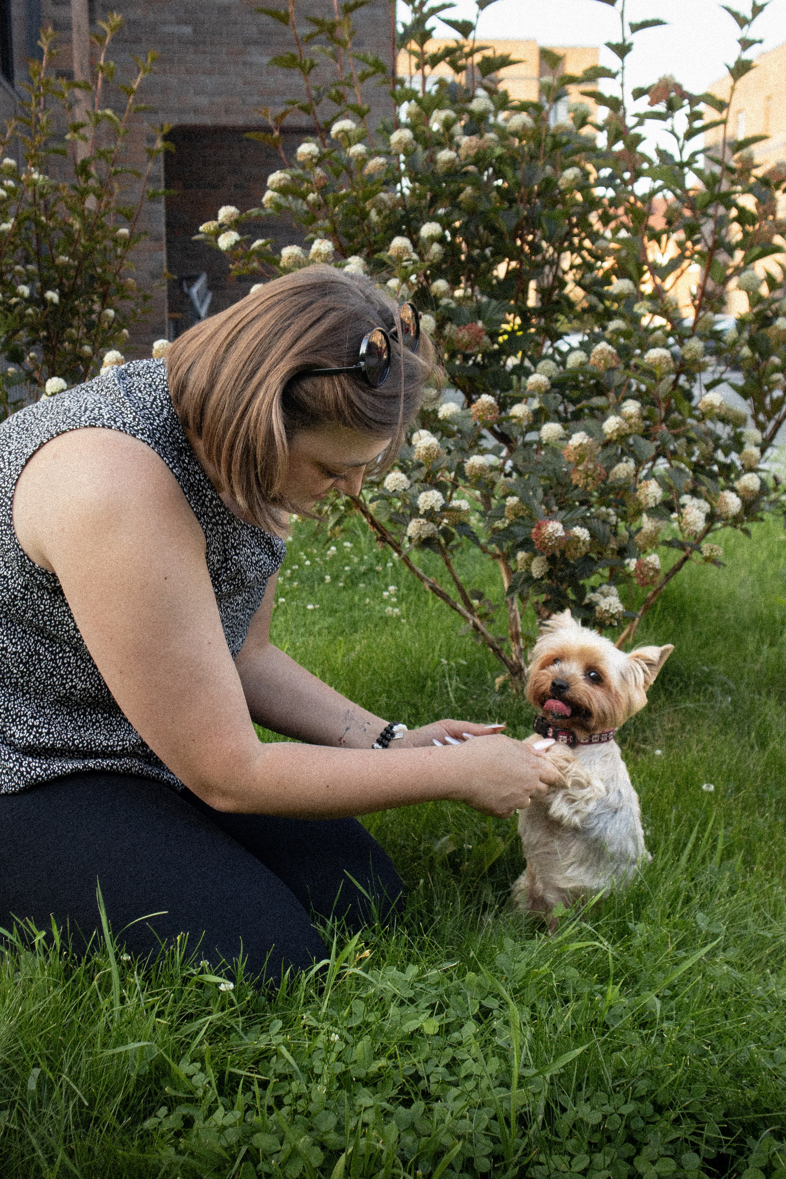 С животными. Фотограф Новосибирск, Академгородок, Бердск — Айна
