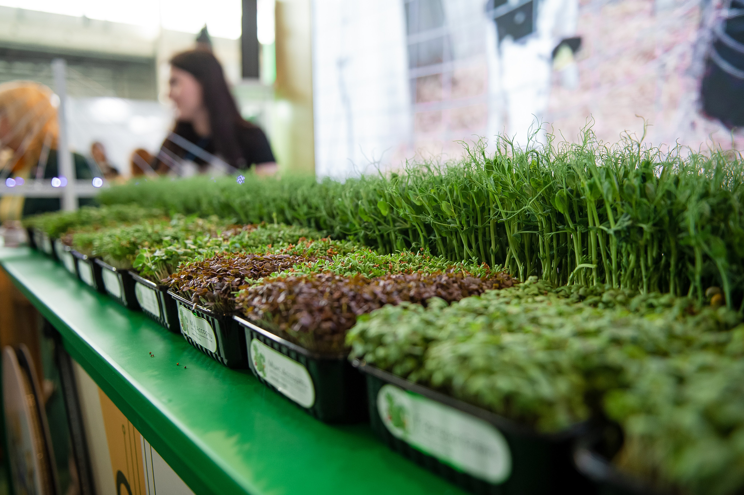 СИТНО ЭКСПО. Фотограф Антон Малыхин