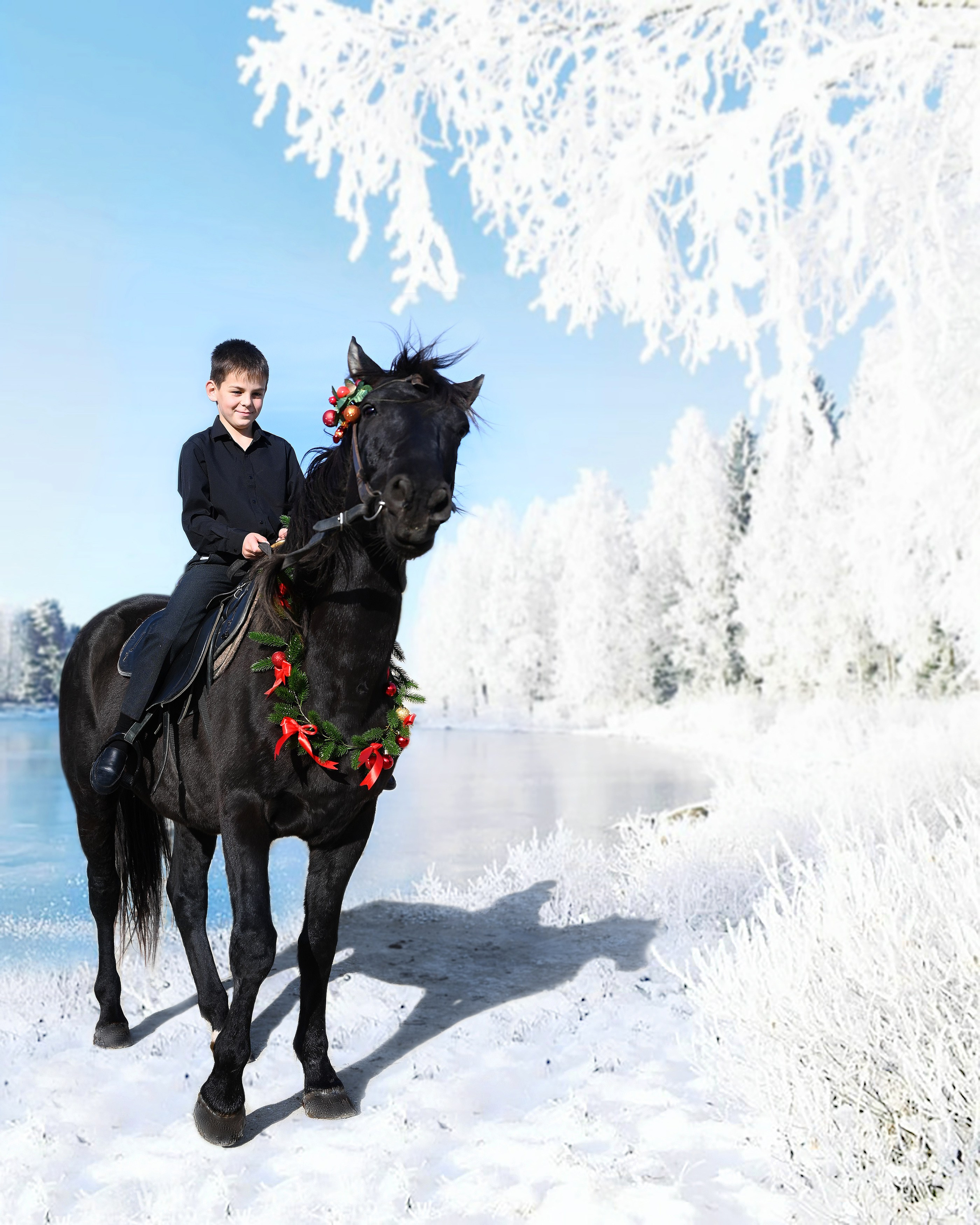 Лошади. Главная