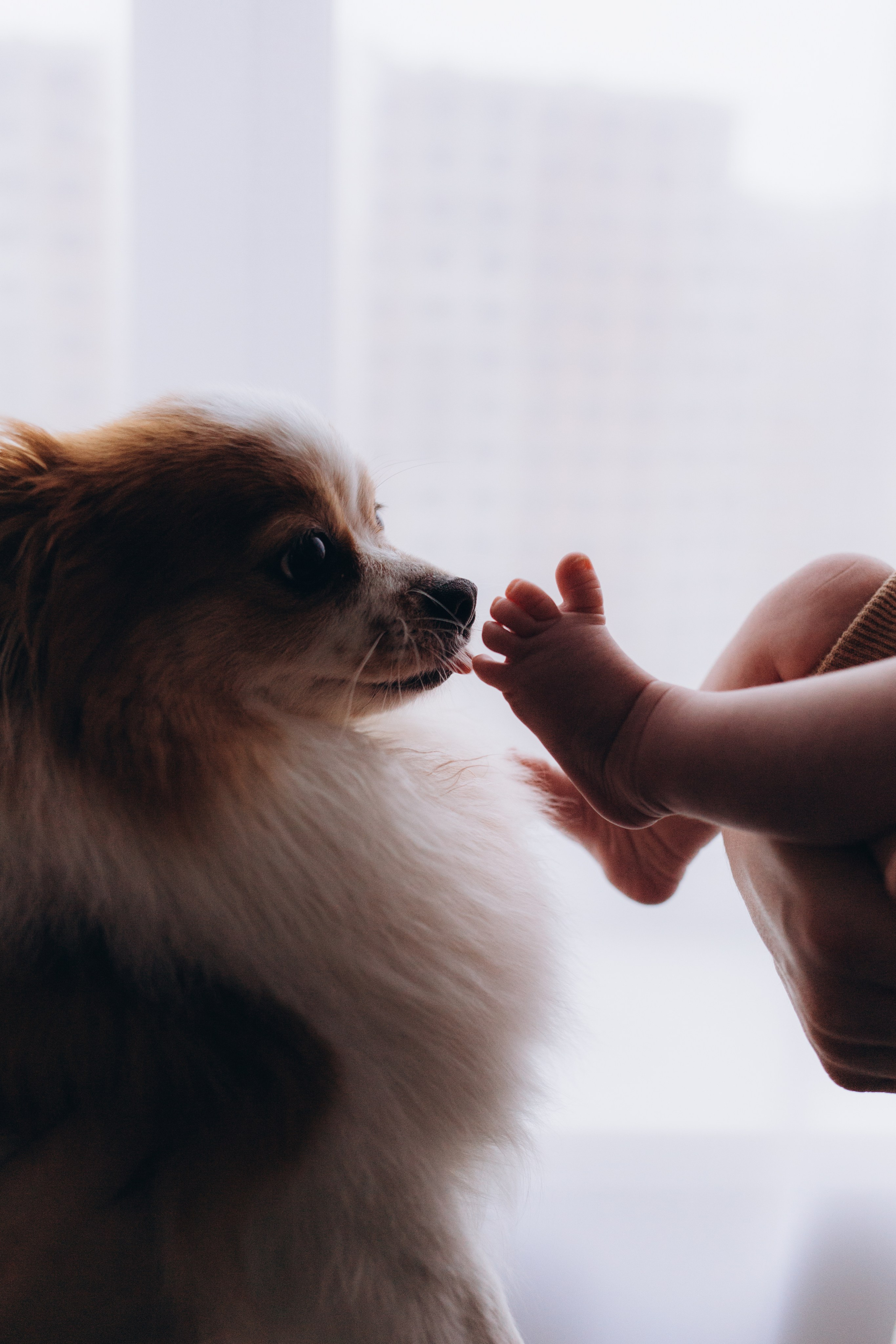 Lifestyle. Фотограф новорожденных в Санкт-Петербурге Белова Екатерина