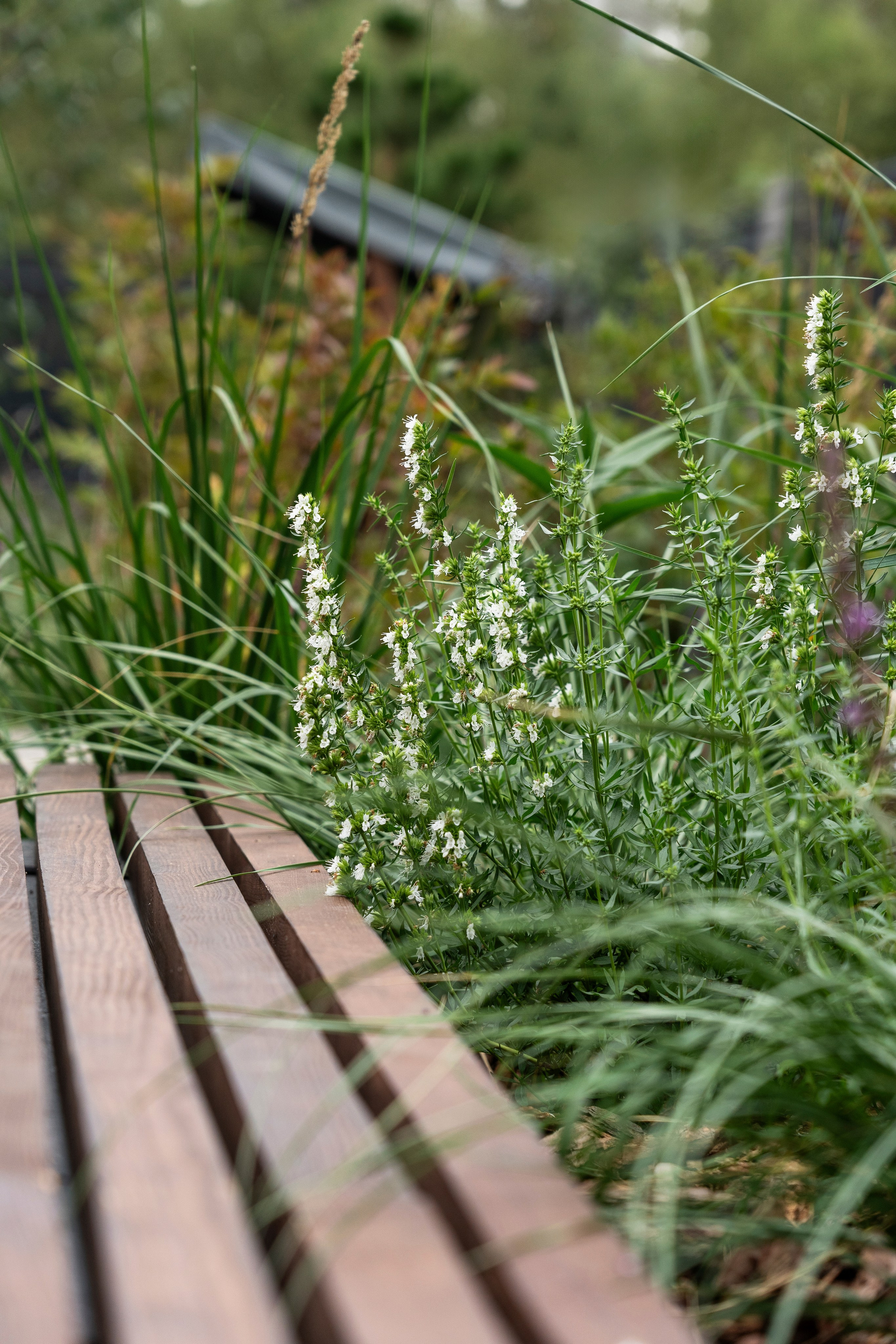Private house, Moscow region. Артамонов Александр | Архитектурный и ландшафтный фотограф