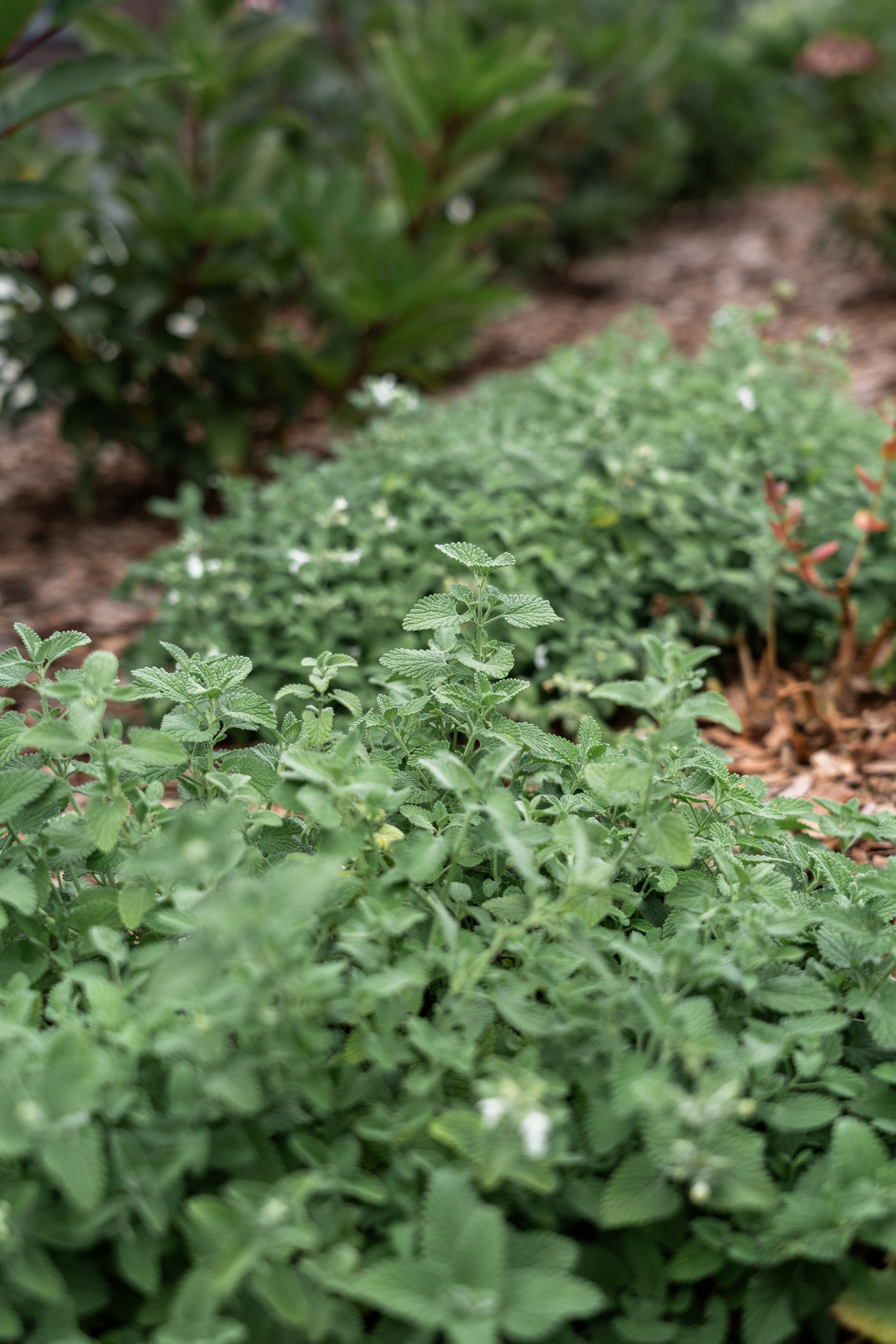 Private house, Moscow region. Артамонов Александр | Архитектурный и ландшафтный фотограф