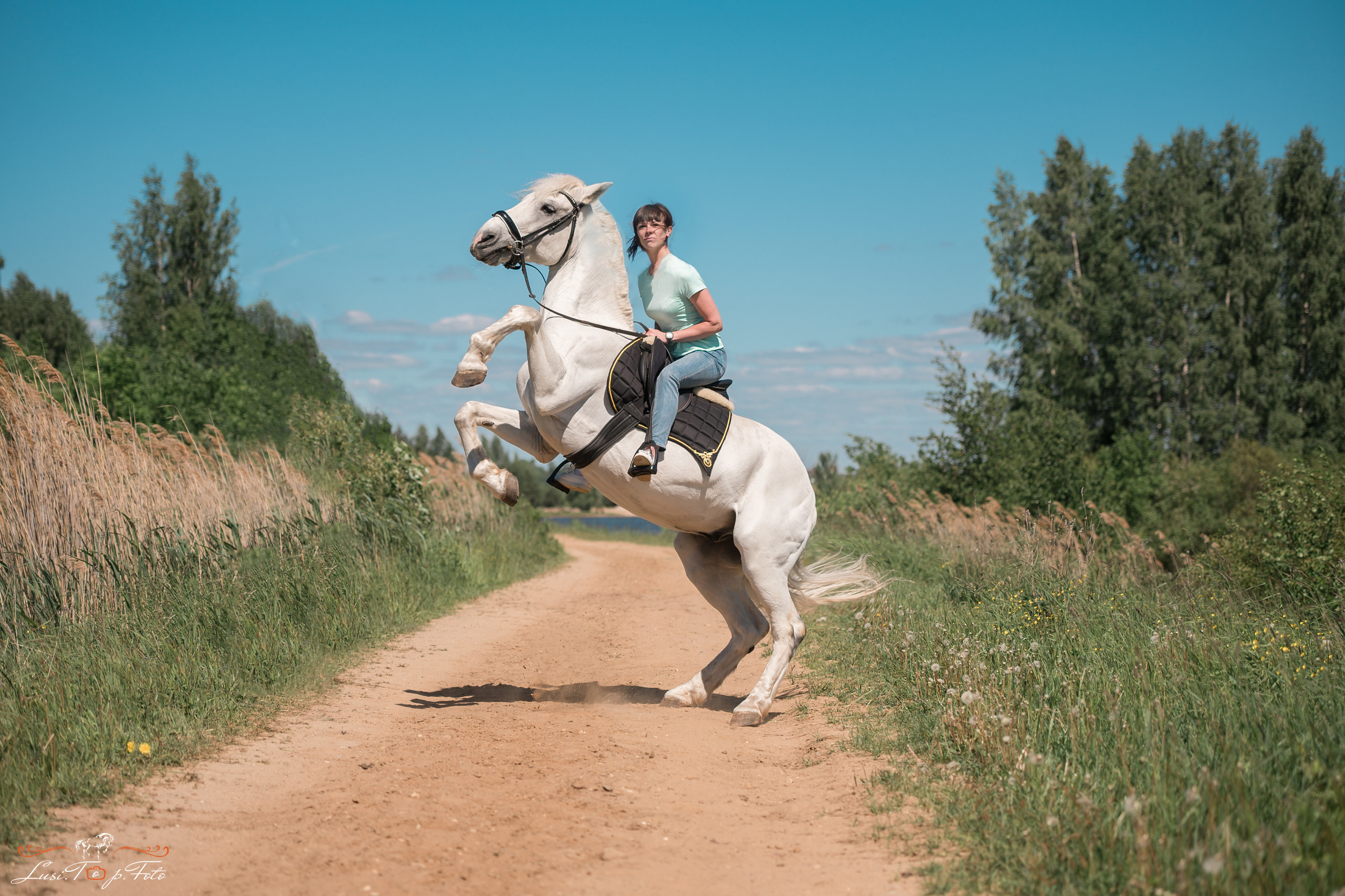 Конный и фотограф с животными в Твери Топталова Люся