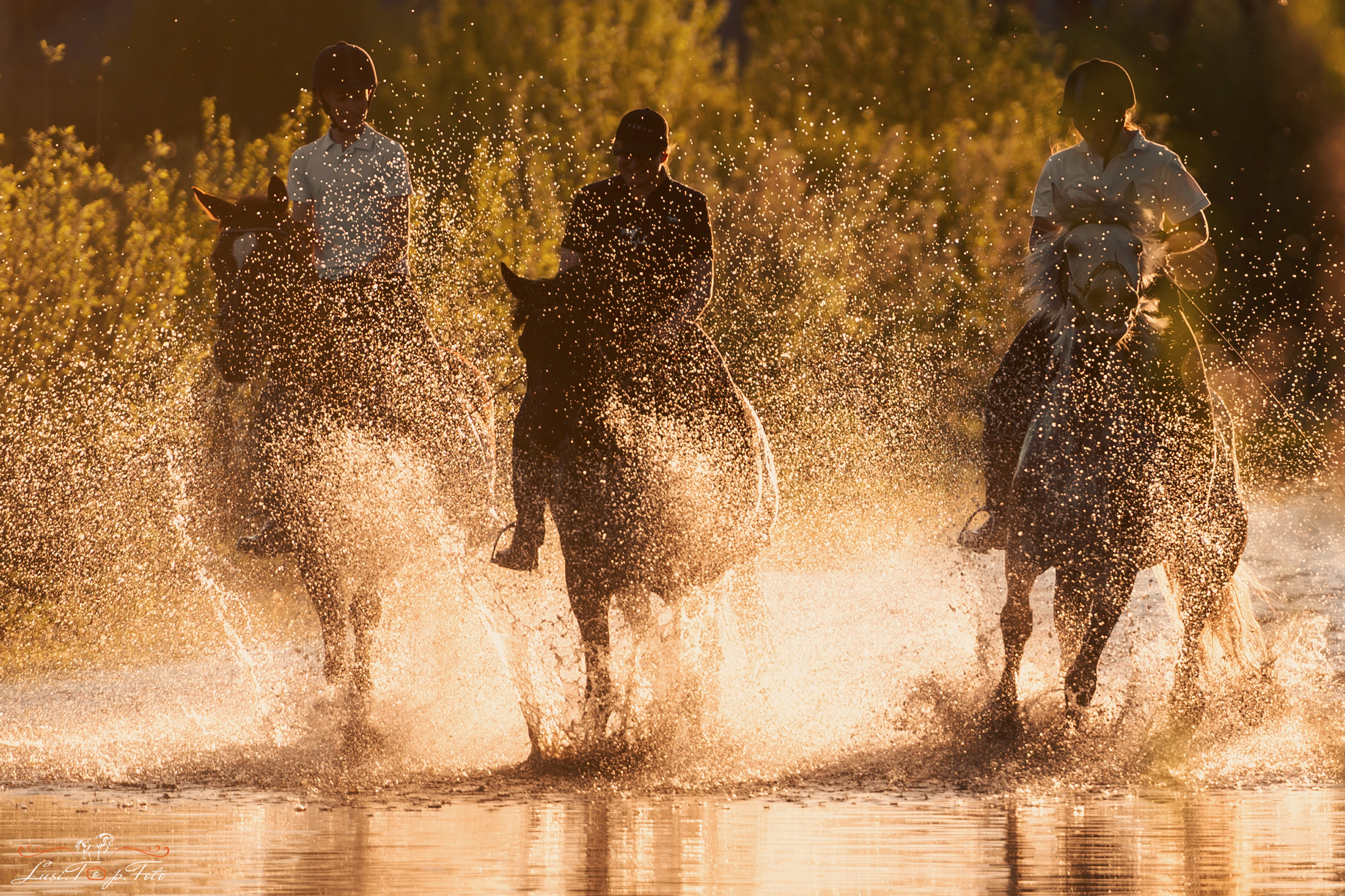 Конный и фотограф с животными в Твери Топталова Люся
