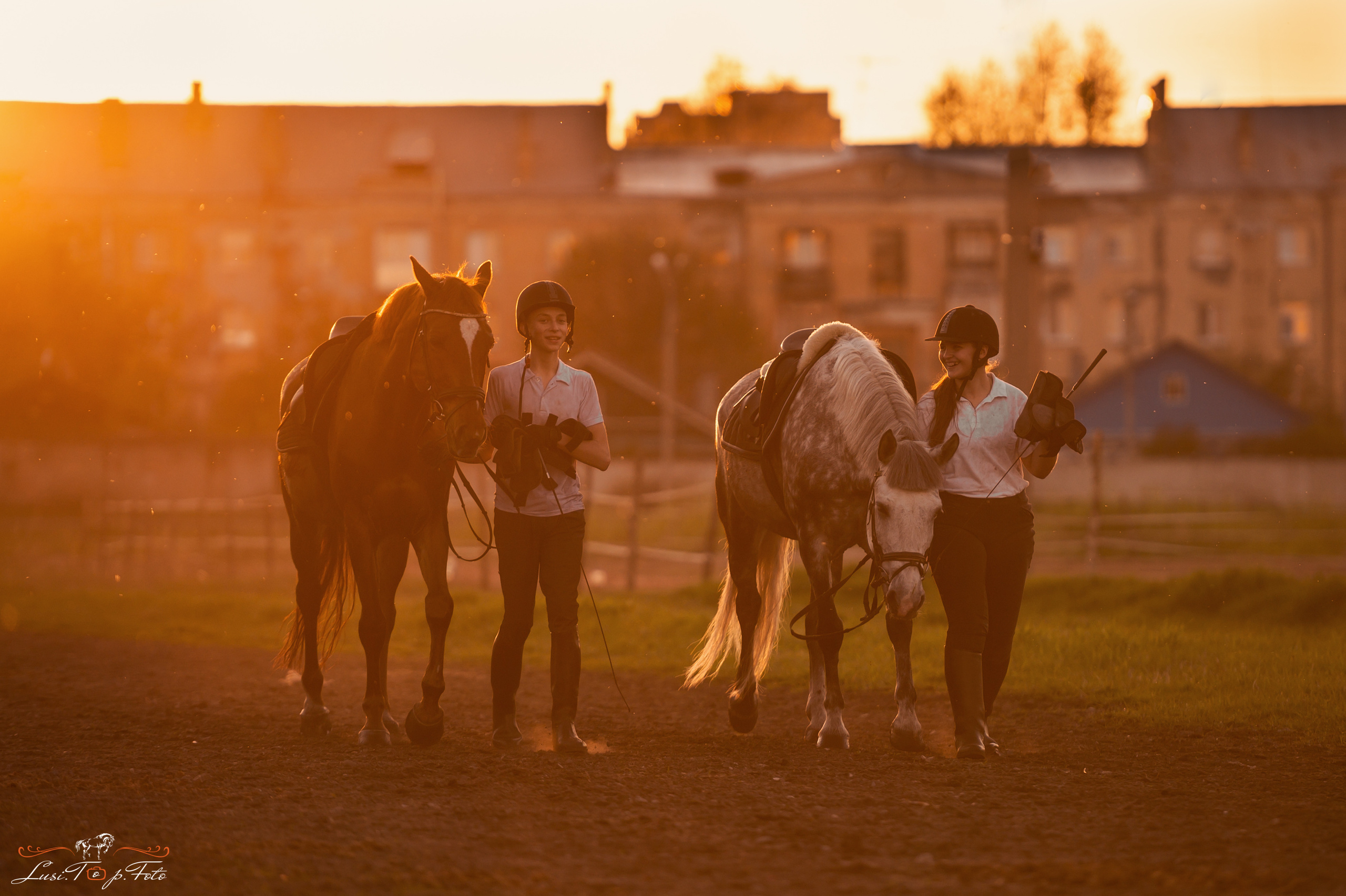 Конный и фотограф с животными в Твери Топталова Люся