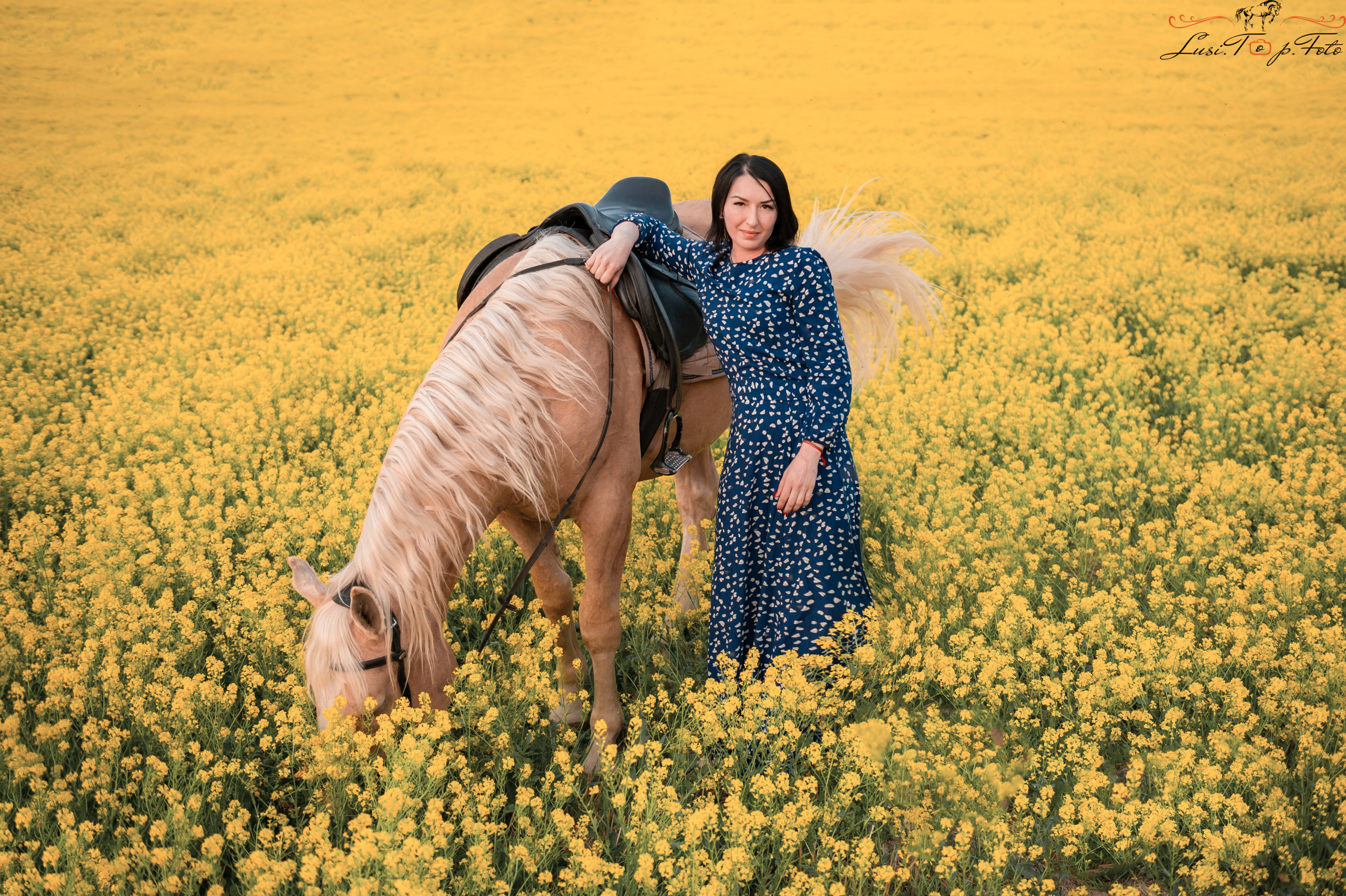 Конный и фотограф с животными в Твери Топталова Люся