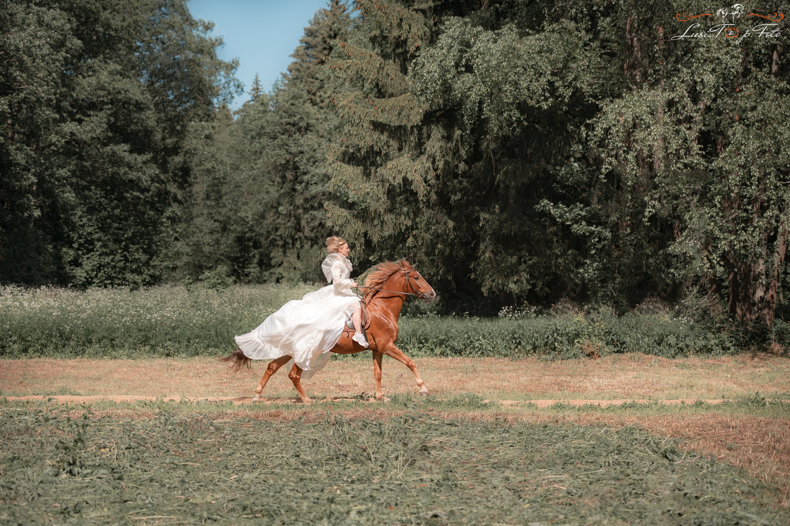 Конный и фотограф с животными в Твери Топталова Люся