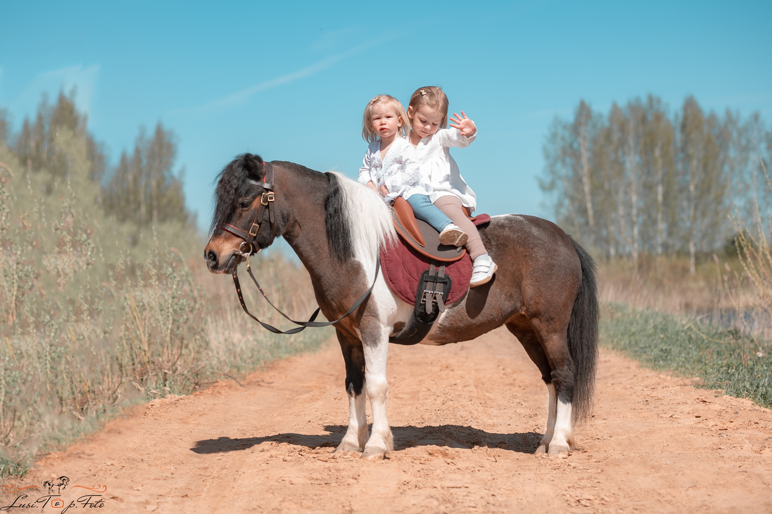 Конный и фотограф с животными в Твери Топталова Люся