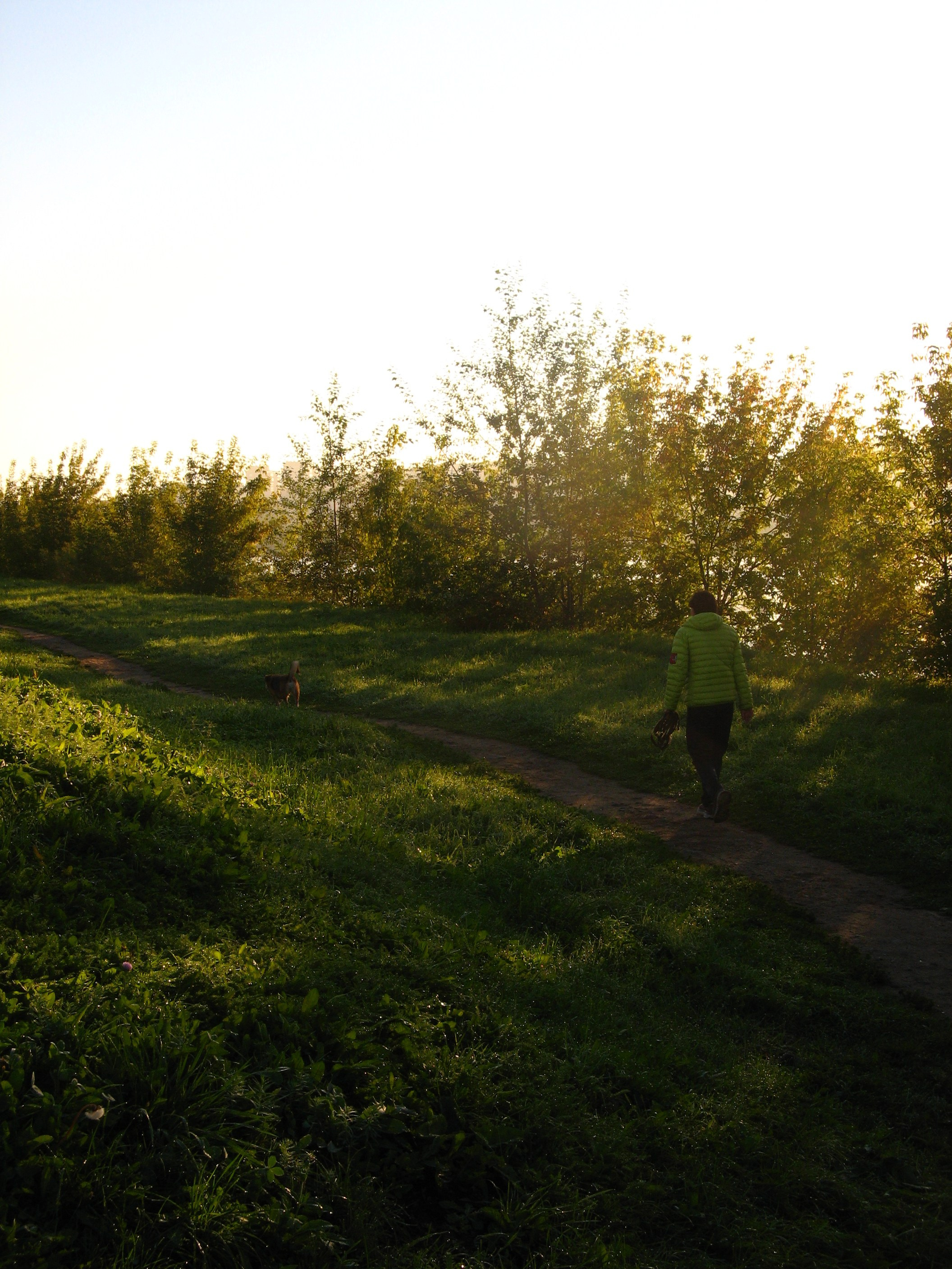 Сентябрь 2025. Den Mirov — Фотограф, Музыкант