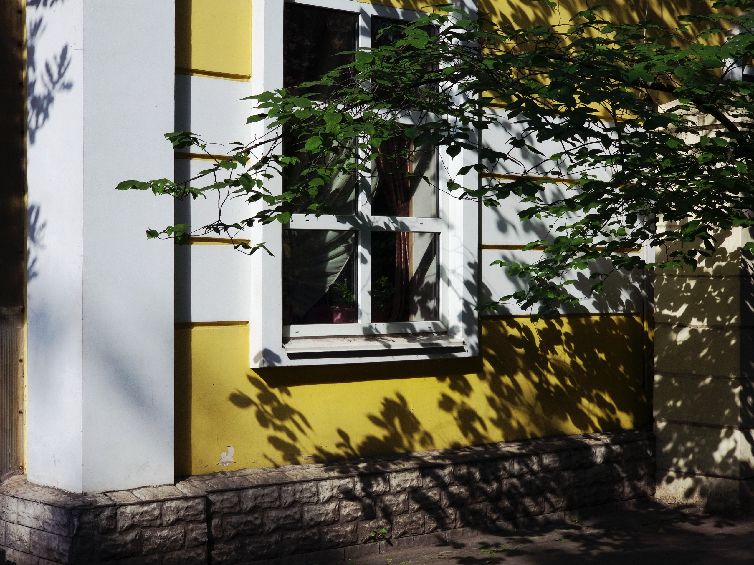 Июль 2025. Den Mirov — Фотограф, Музыкант