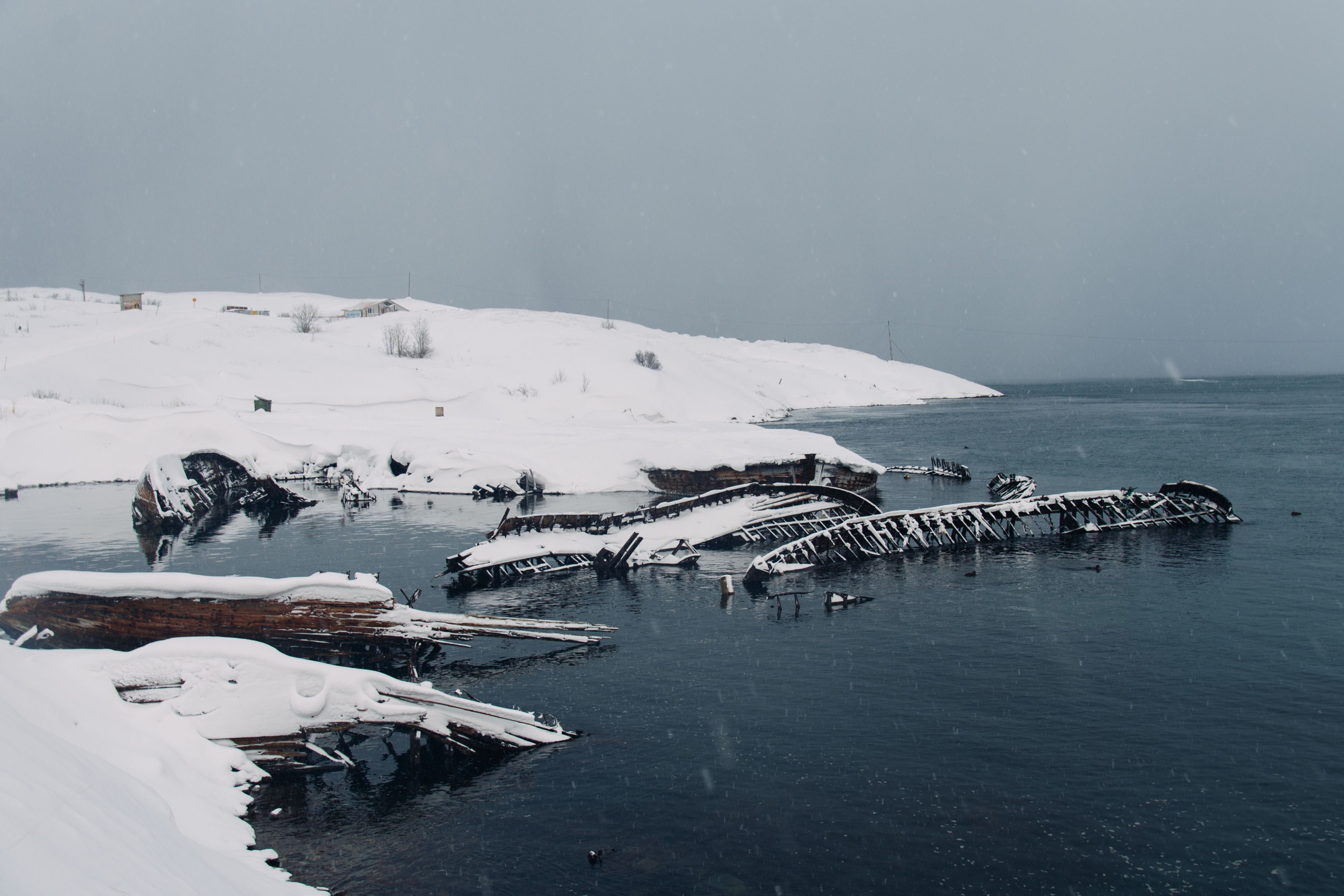 Мурманск, Териберка. Главная