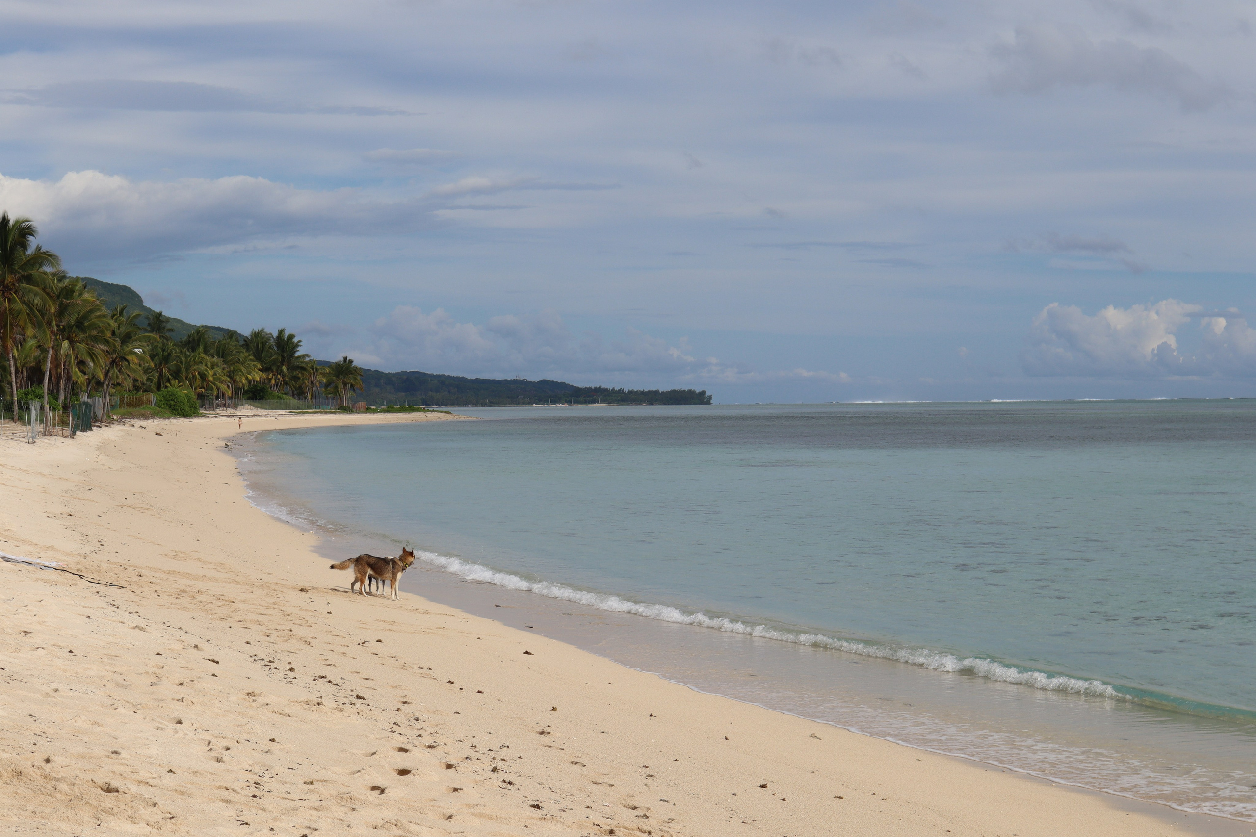 Путешествие на родину птицы додо. Travel photographer Ksenia