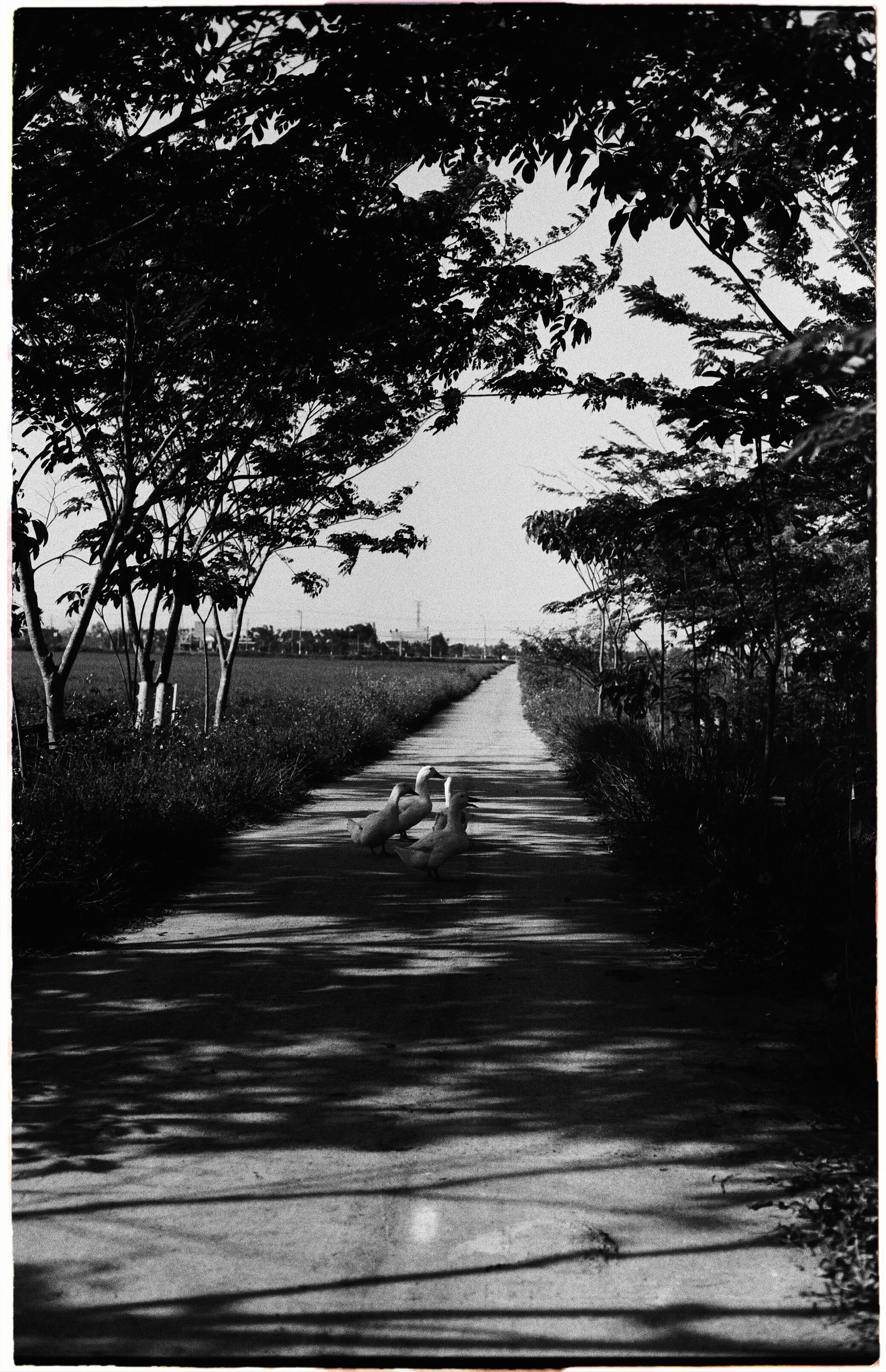 Vietnam «26. Фотограф Полина Треногина