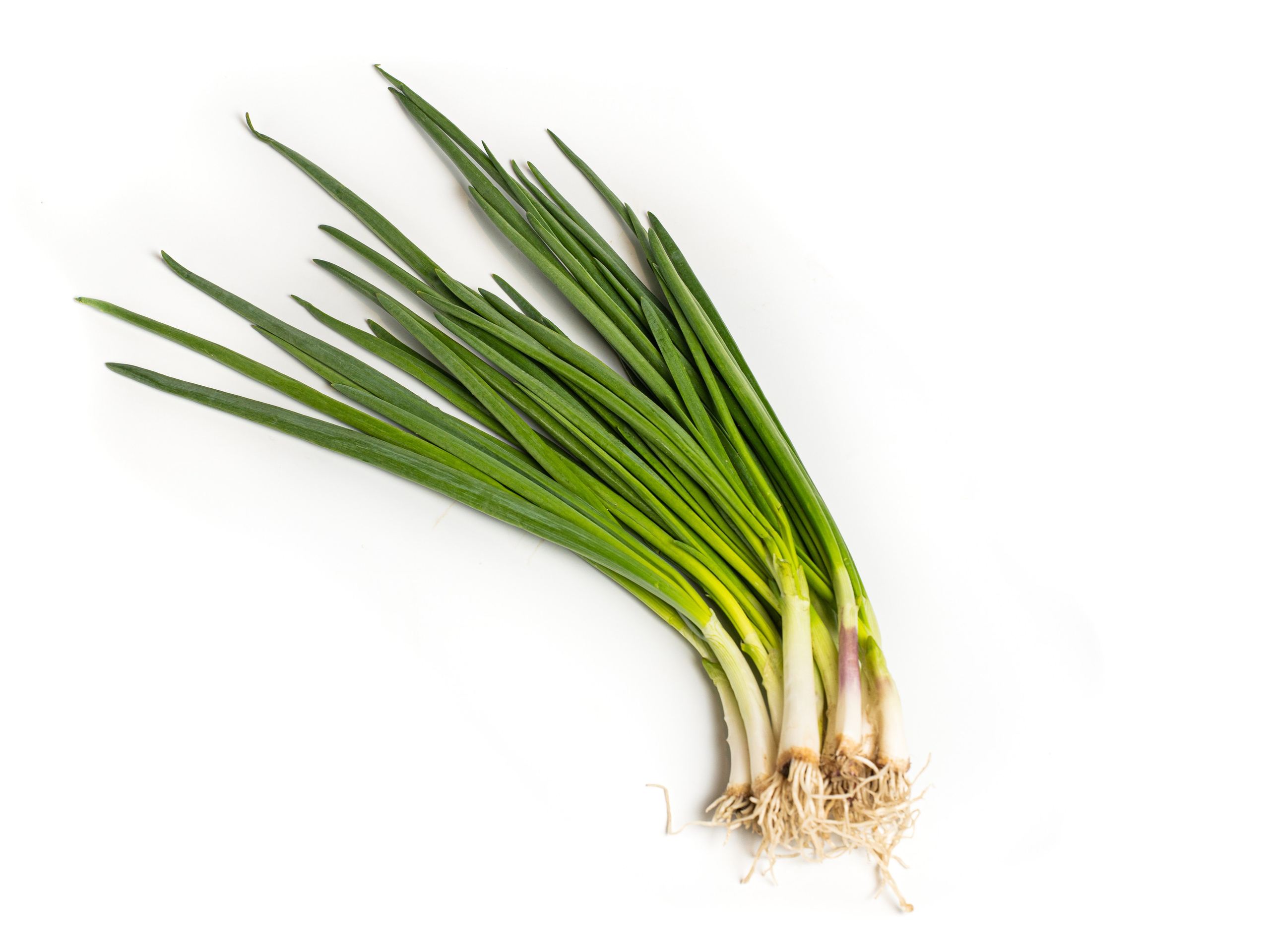 Яндекс Маркет. Предметный и фуд-фотограф в Москве Анна Царенко