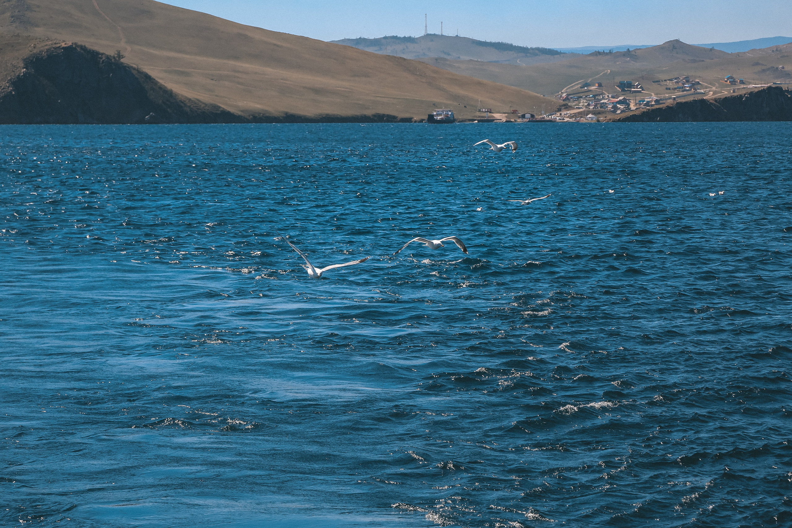 Байкал летний: легенды и святыни. Дарья Письменюк / Darya Leitstern — фотограф, музыкант, журналист, путешественник