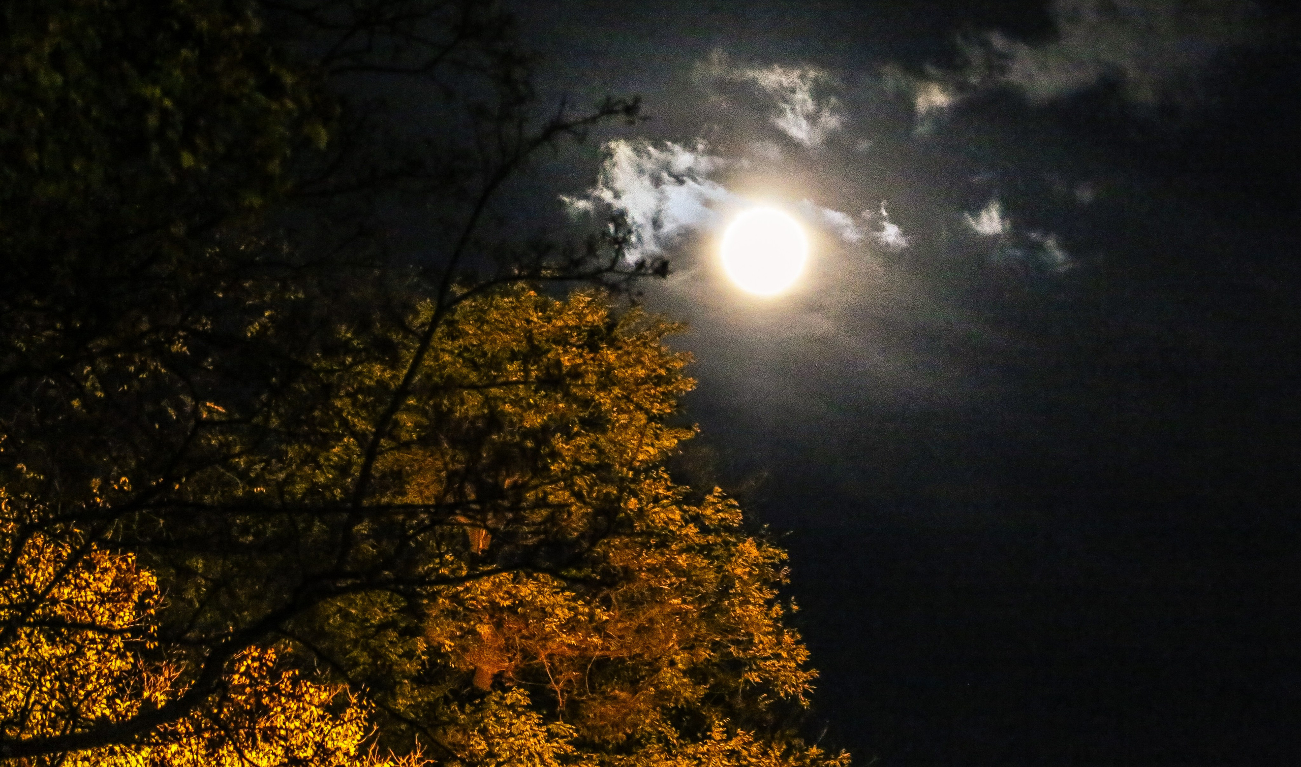 Австрия: Вена — Святой Стефан, Штадтпарк, Бельведер. Дарья Письменюк / Darya Leitstern — фотограф, музыкант, журналист, путешественник