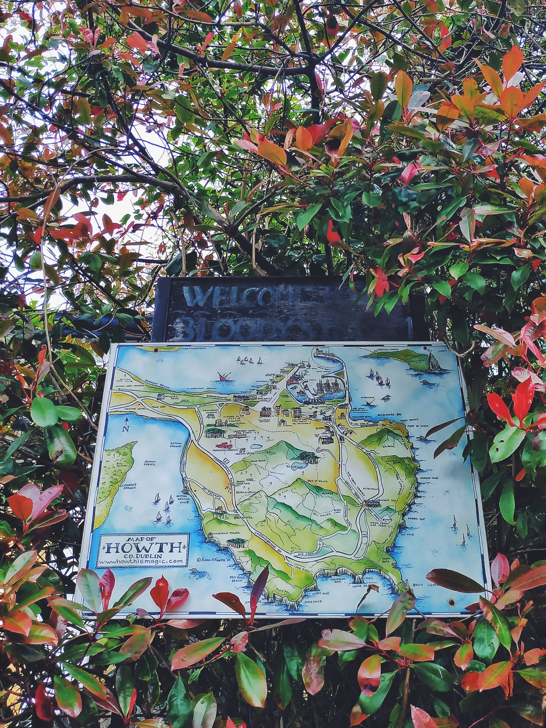 Ирландия: Хоут — тропинка на одного. Дарья Письменюк / Darya Leitstern — фотограф, музыкант, журналист, путешественник