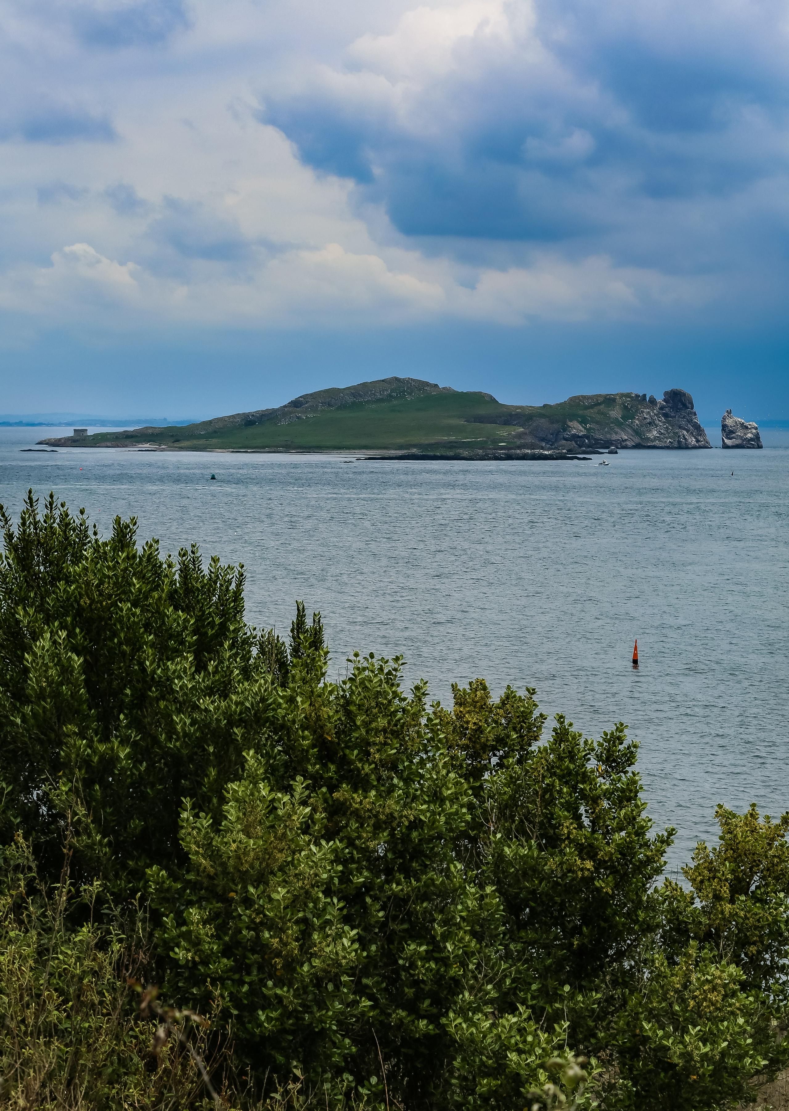 Ирландия: Хоут — тропинка на одного. Дарья Письменюк / Darya Leitstern — фотограф, музыкант, журналист, путешественник